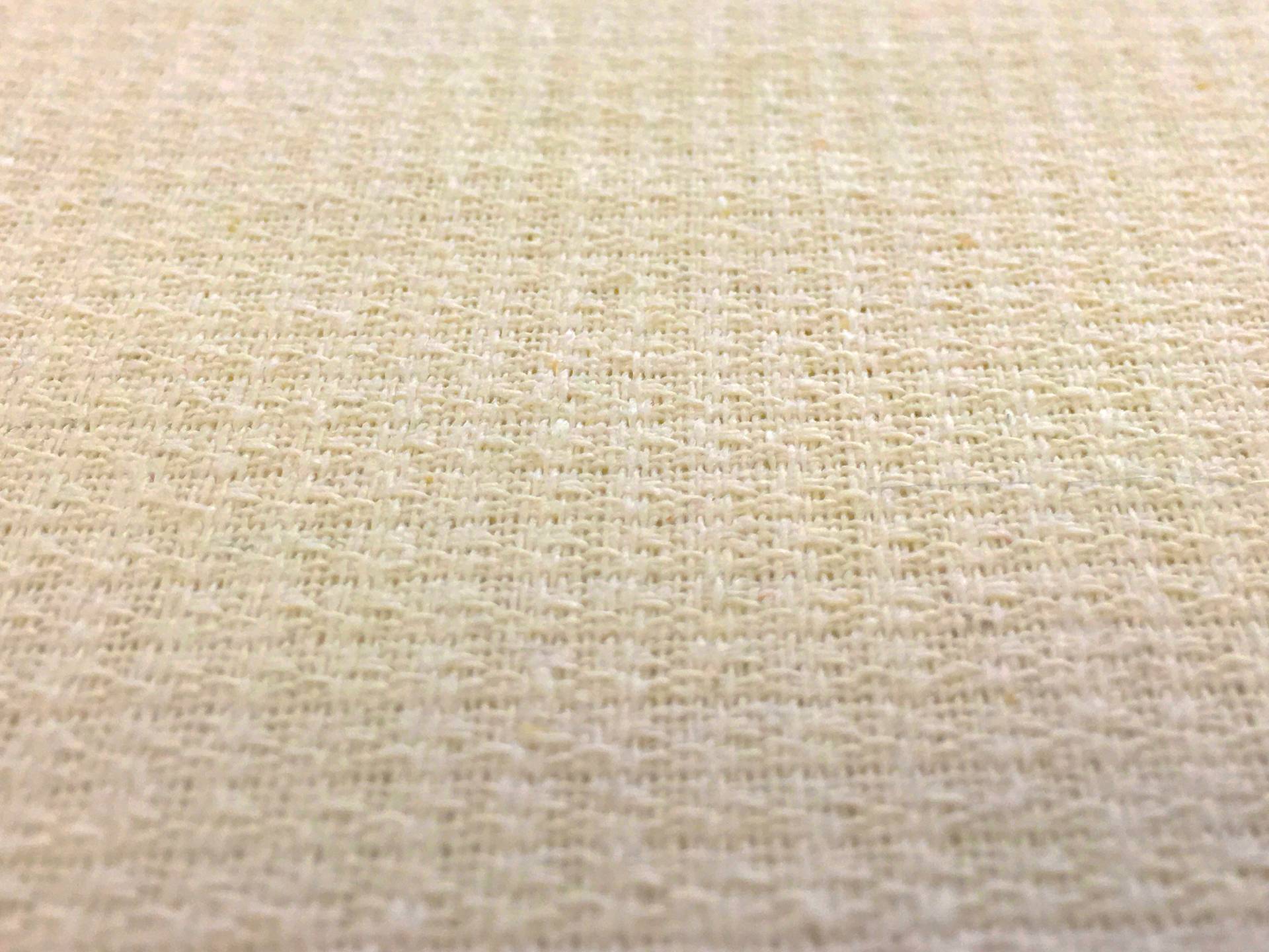 Textured Silk Noil in Cream