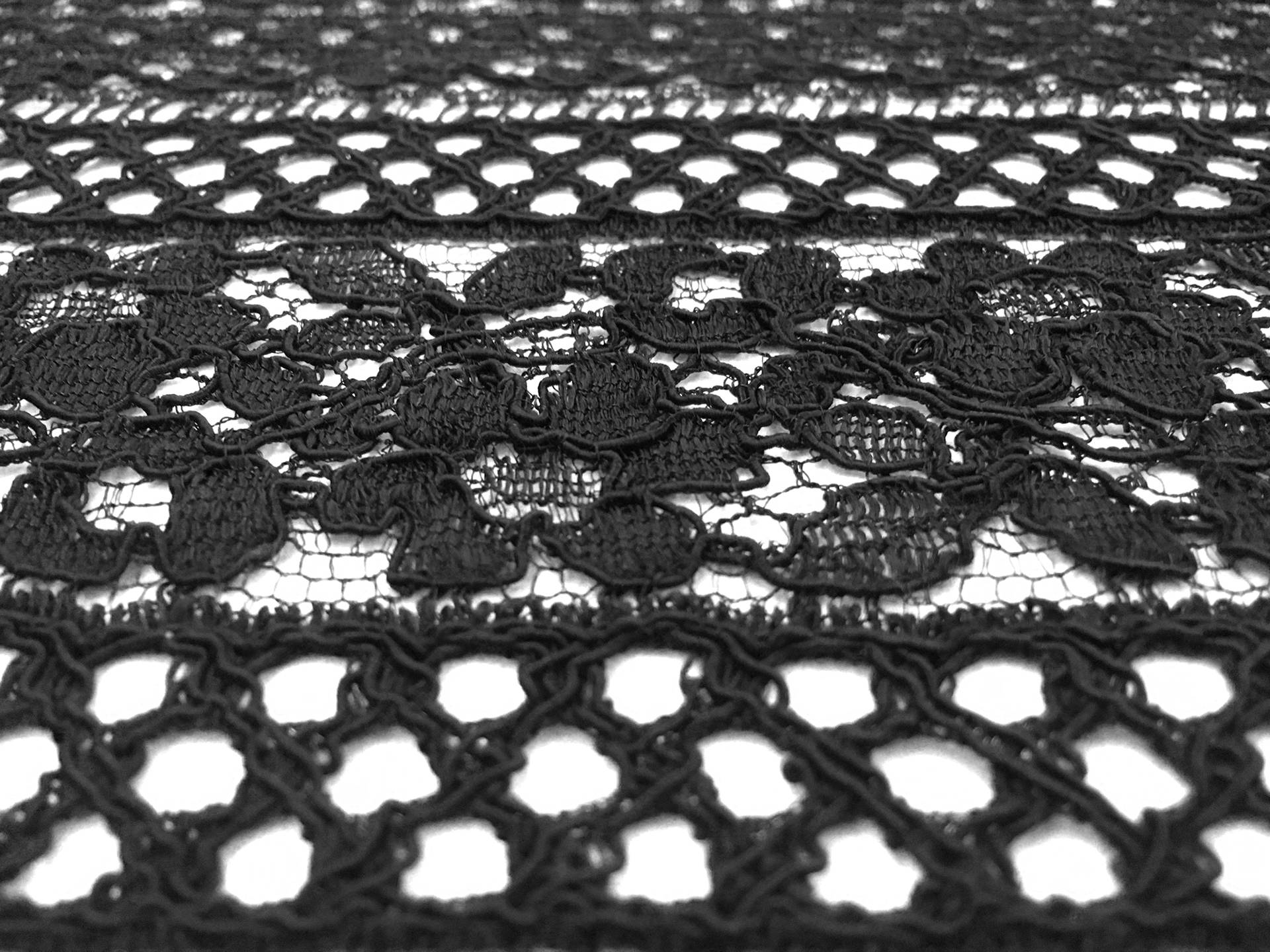 Corded Chantilly Lace with Striped Floral Pattern in Black