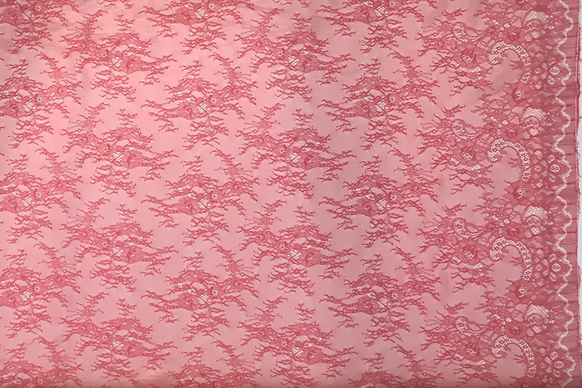 Chantilly Lace with Floral Motfis in Azalea 