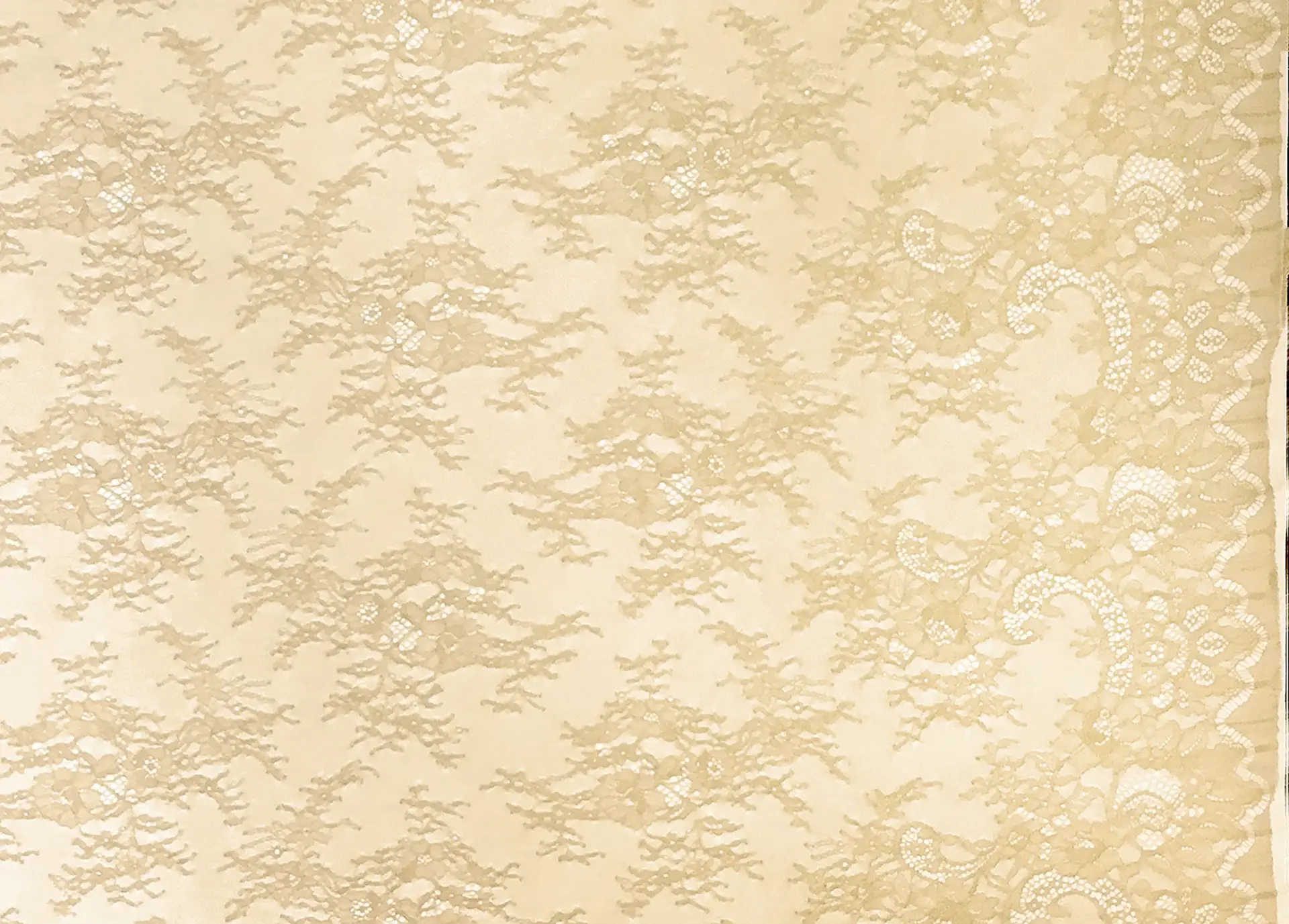 Chantilly Lace in Flax