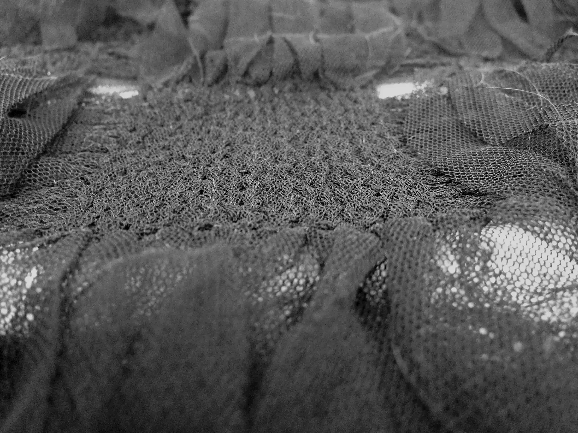 Novelty Tulle Basket Weave with Fringes in Black