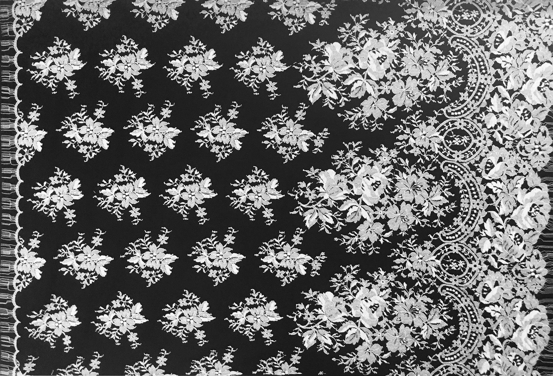 Chantilly Lace with Floral Motifs in Black and White 