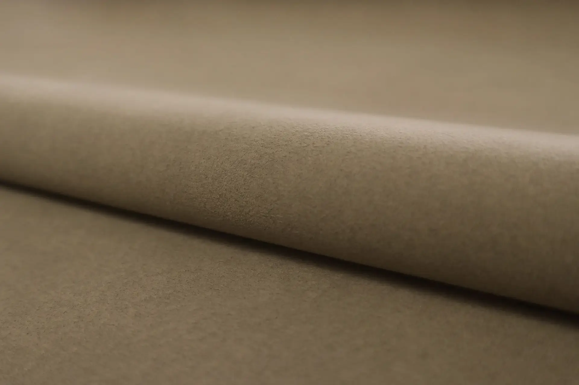 Japanese Ultrasuede SP in Autumn