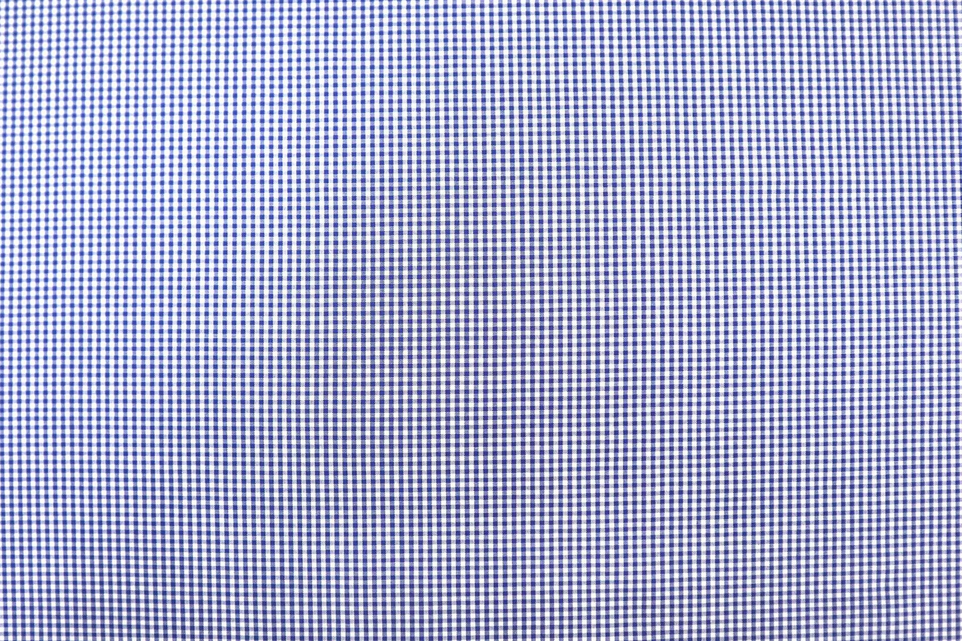 Pima Cotton Micro Gingham in Blue