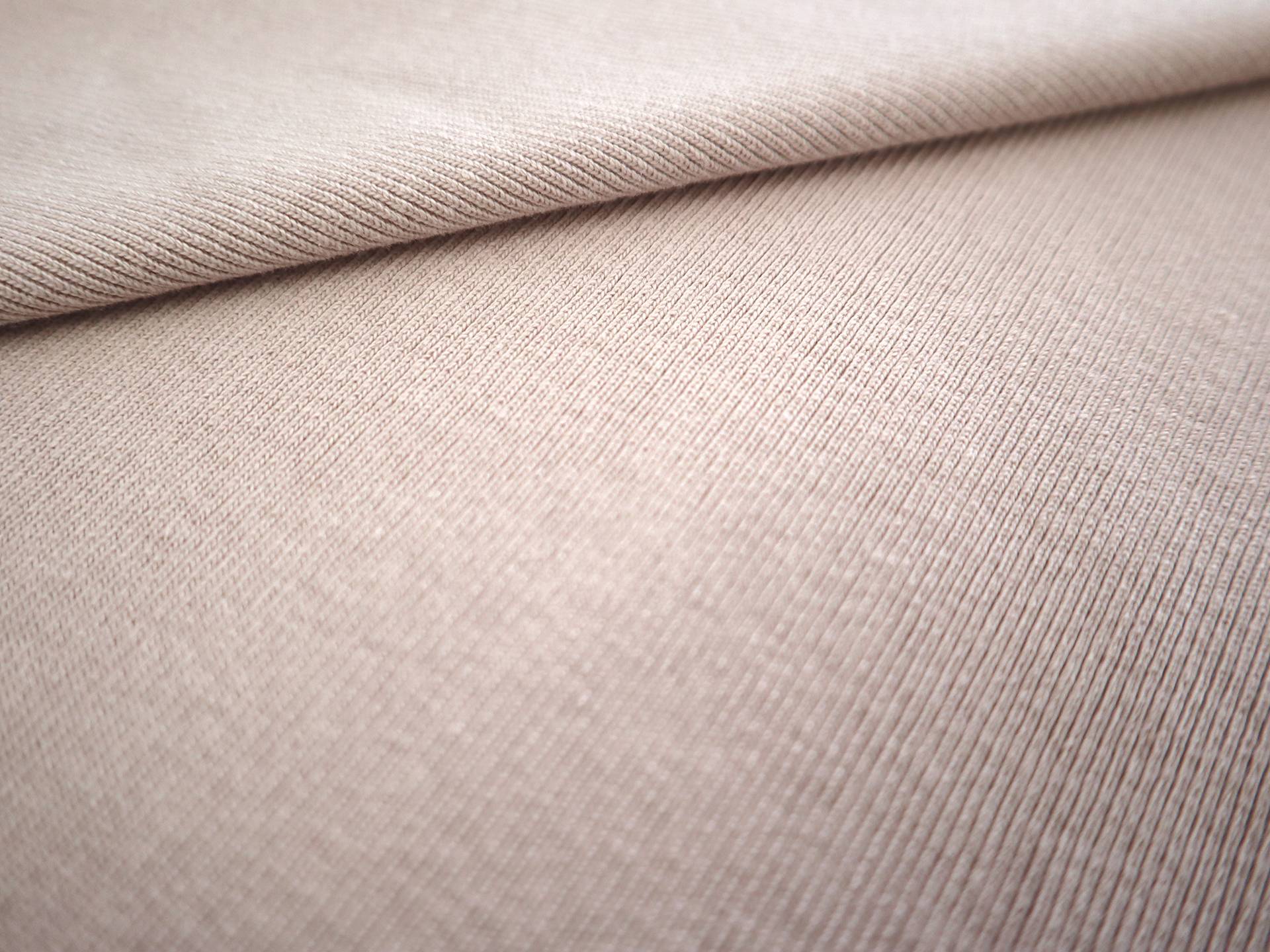 Japanese Cotton Rib Knit in Blush