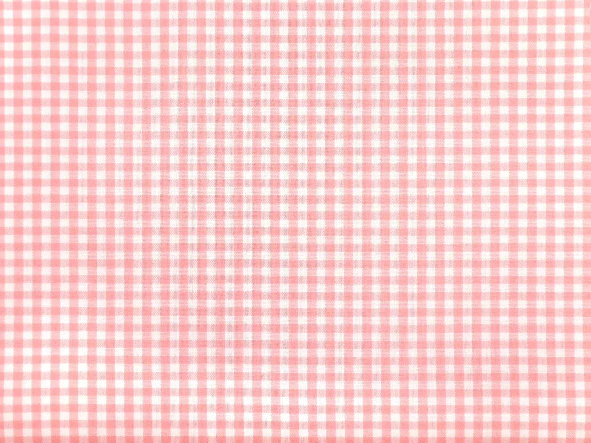1/8" Cotton Gingham in Pink