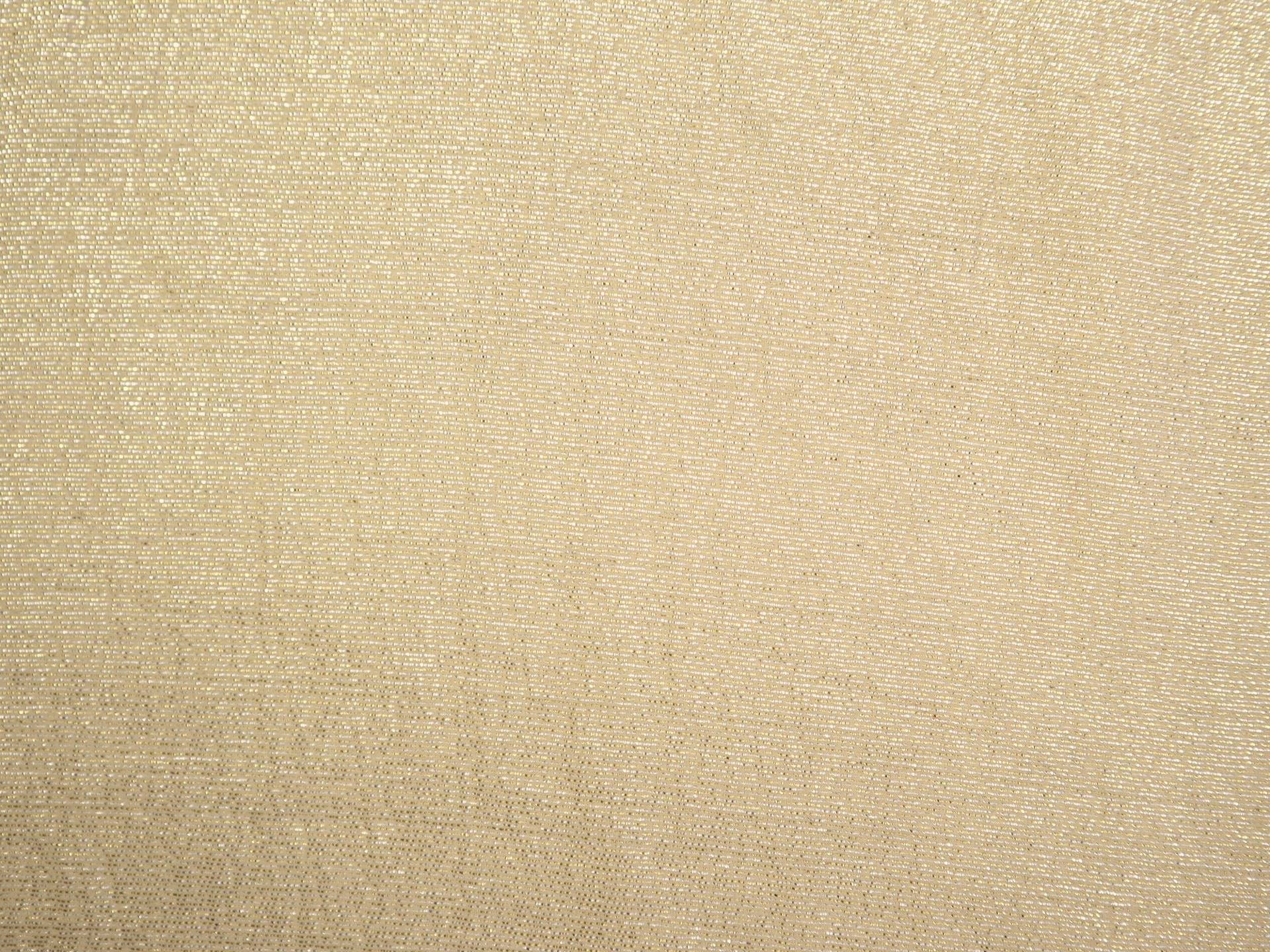 Lightweight Silk Lame in Champagne