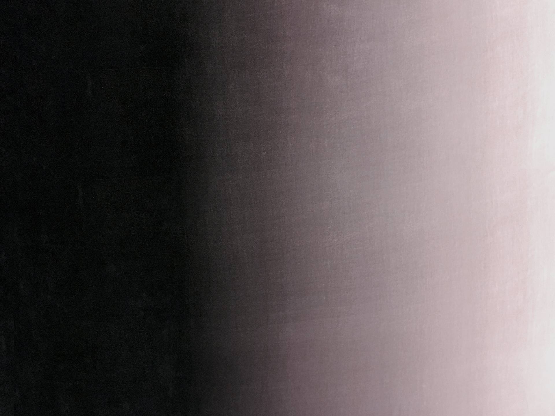Silk and Rayon Blend Velvet Ombre in Black