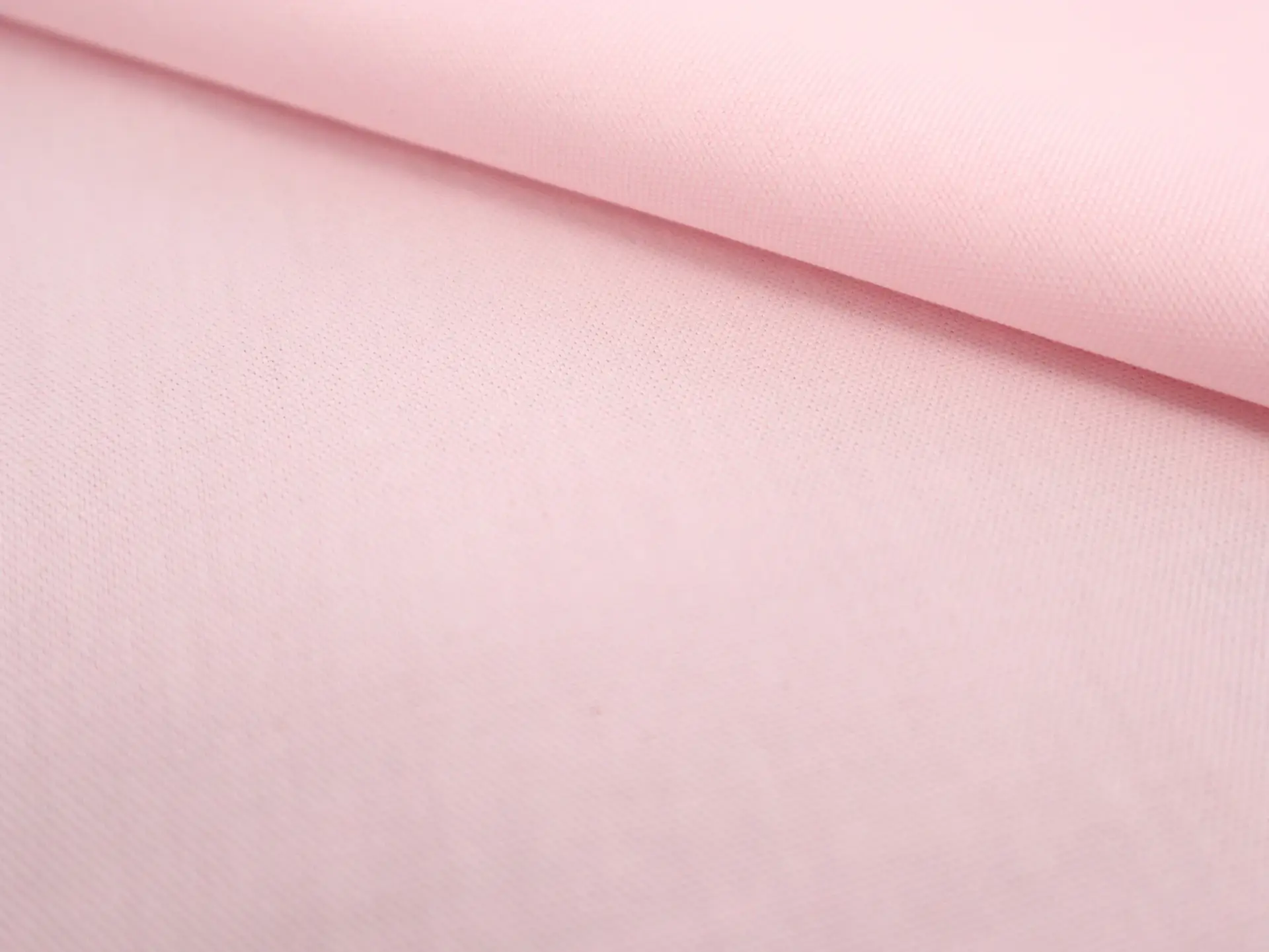 Pima Cotton Oxford in Carnation Pink