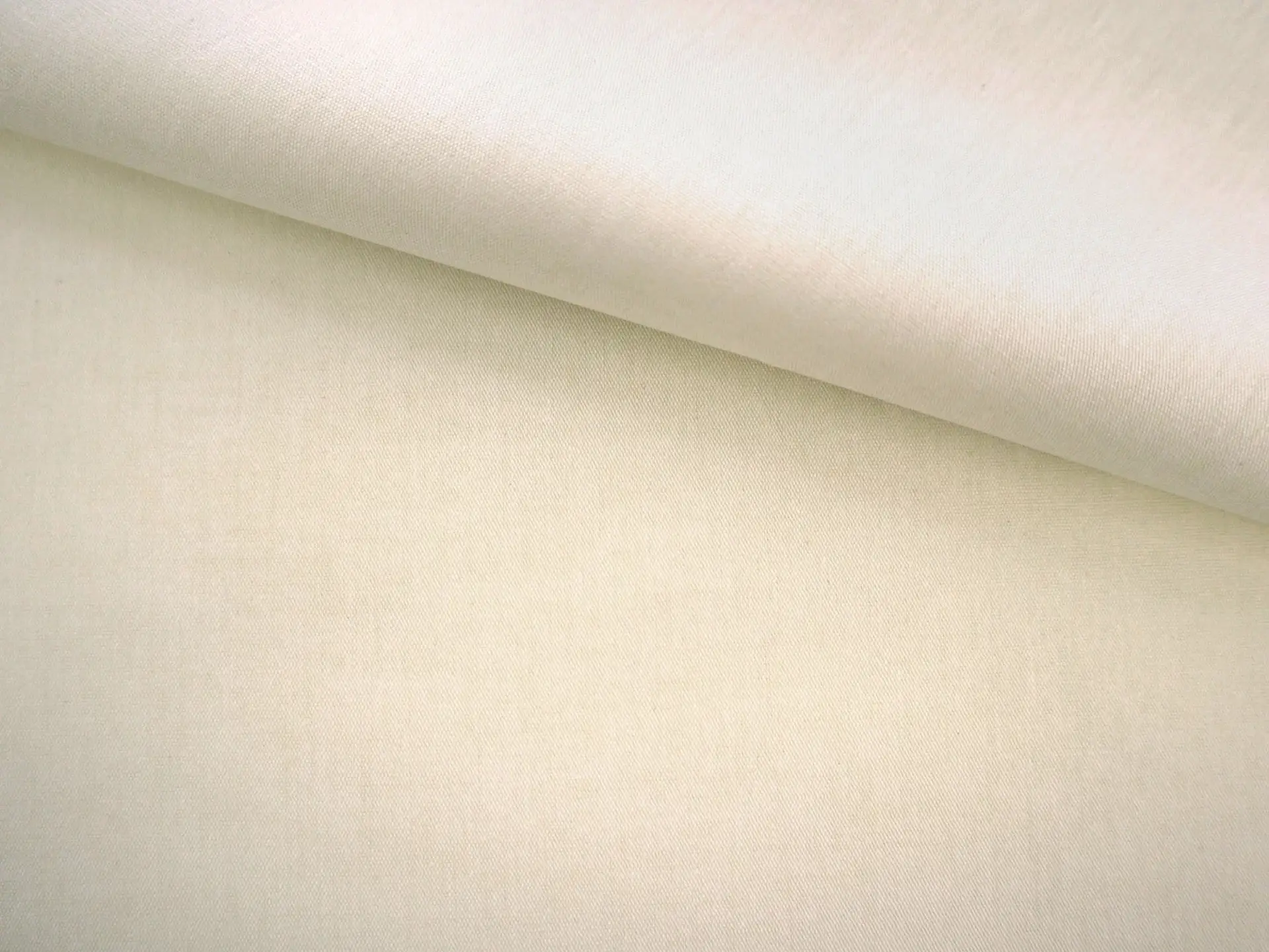 Cotton Chambray in Bone