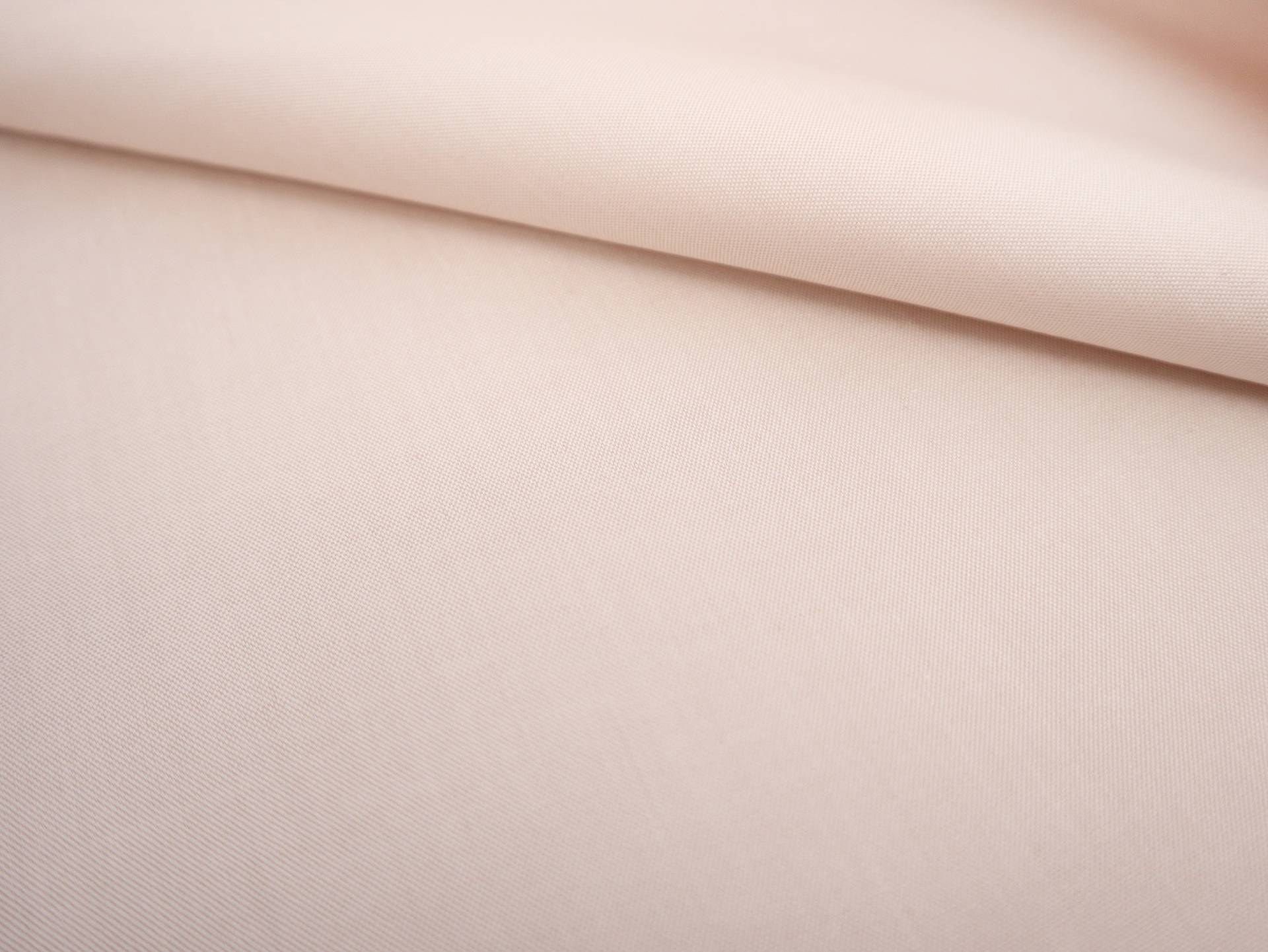 Cotton Pinpoint Oxford Shirting in Beige 