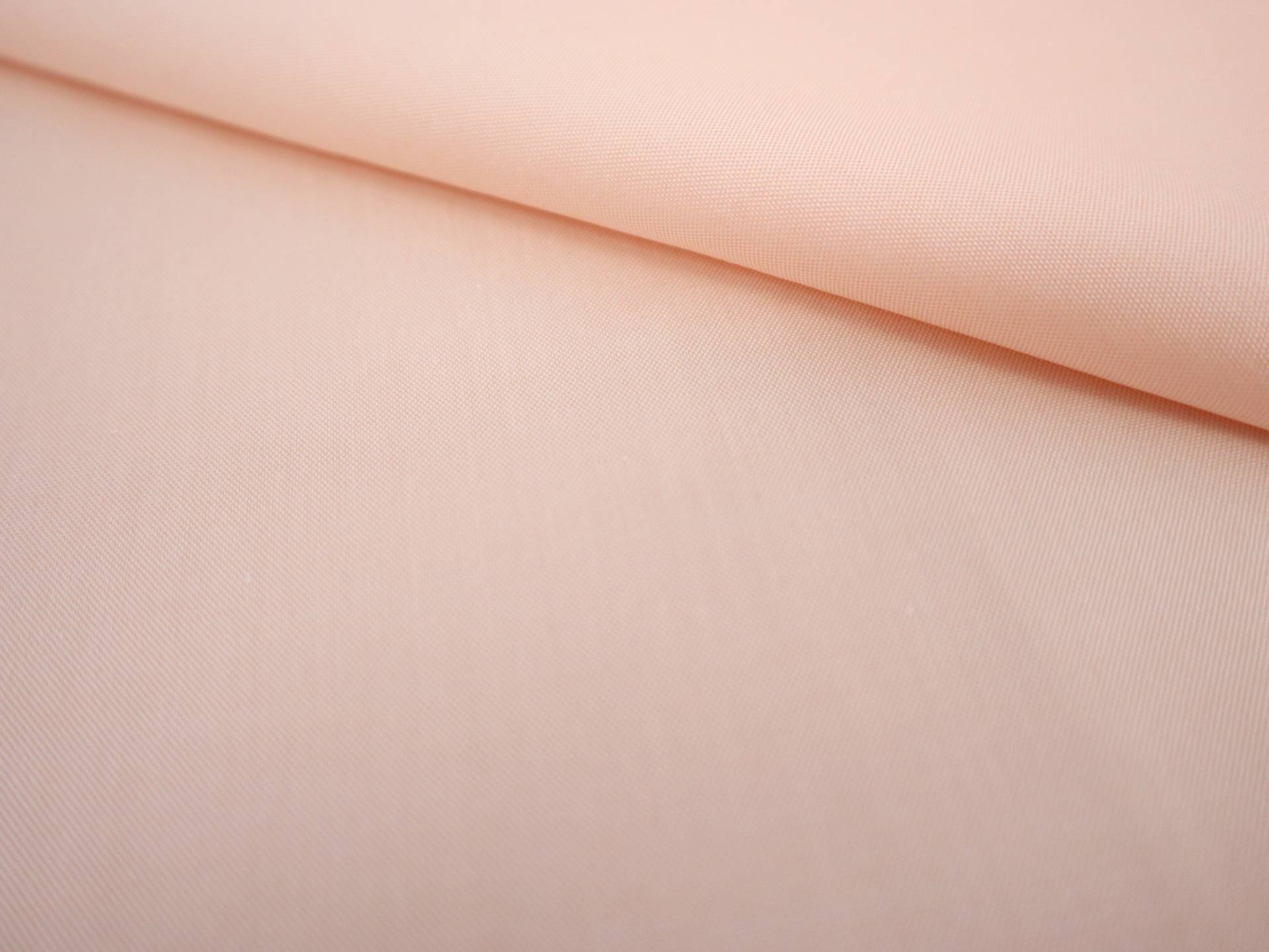 Cotton Pinpoint Oxford Shirting in Peach