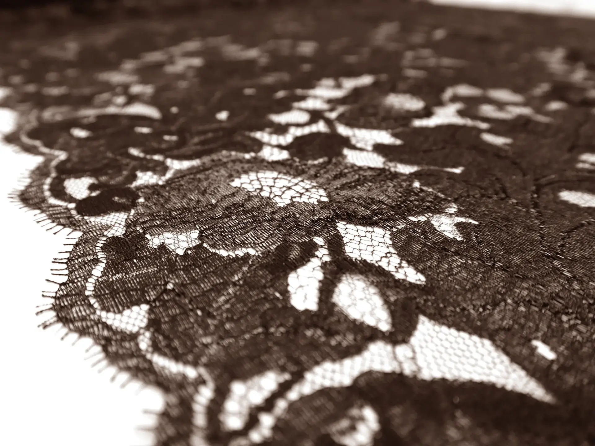 Metallic Chantilly Lace in Brown