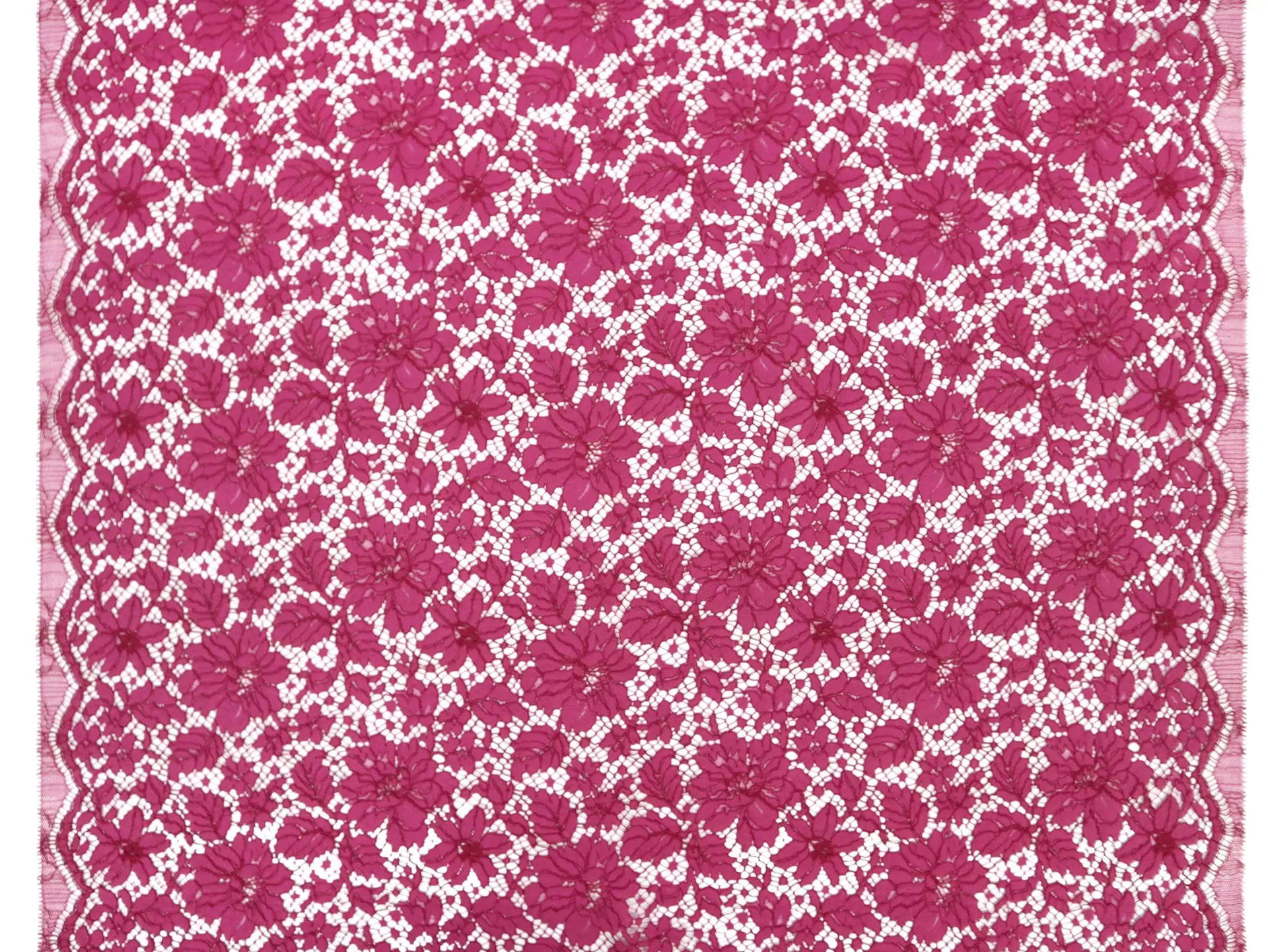 Corded Floral Chantilly Lace in Fuchsia