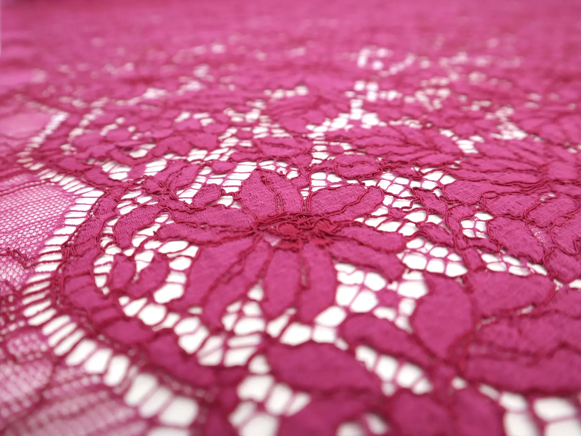 Corded Floral Chantilly Lace in Fuchsia