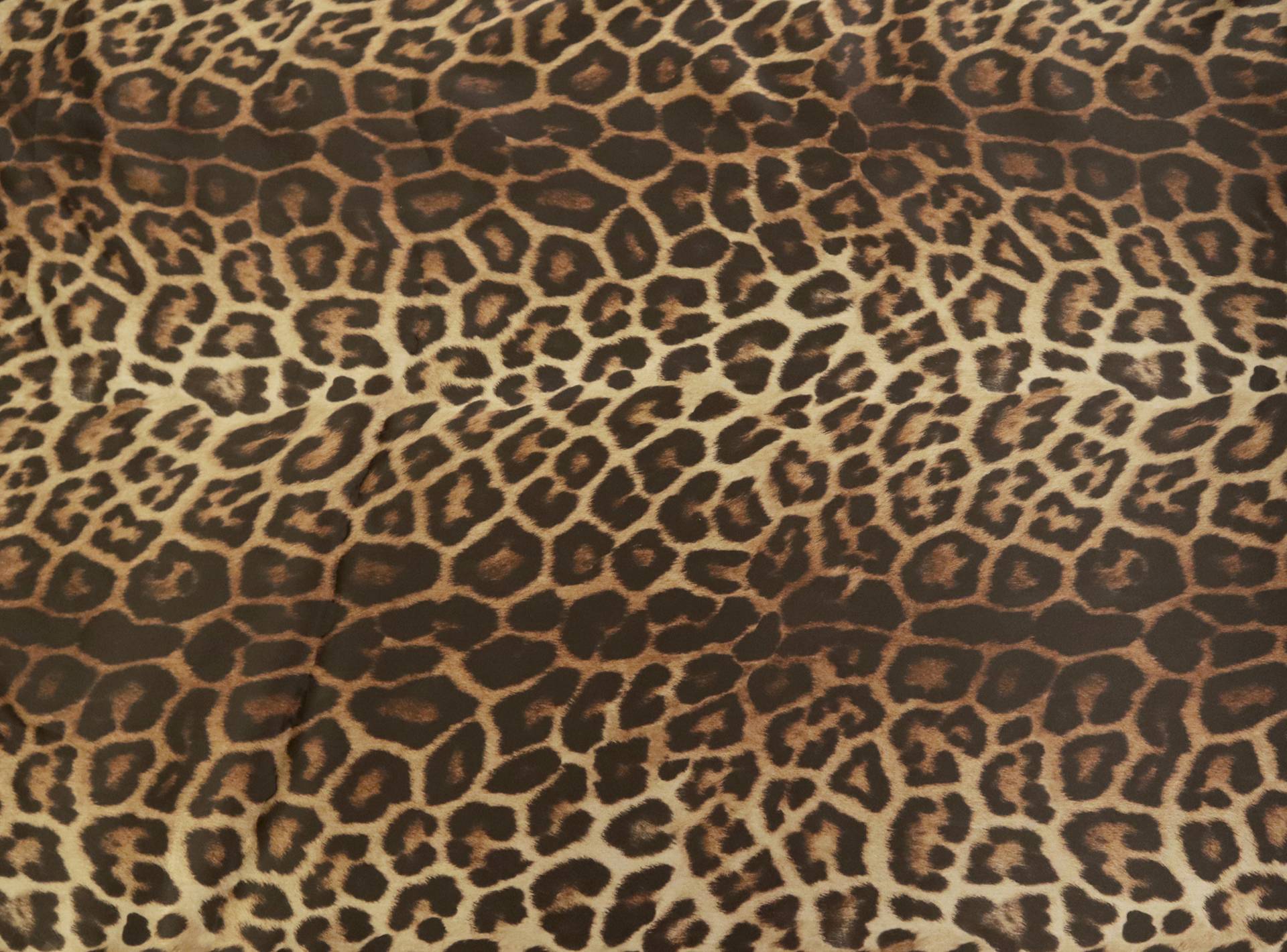 Printed Silk Organza with Animal Print