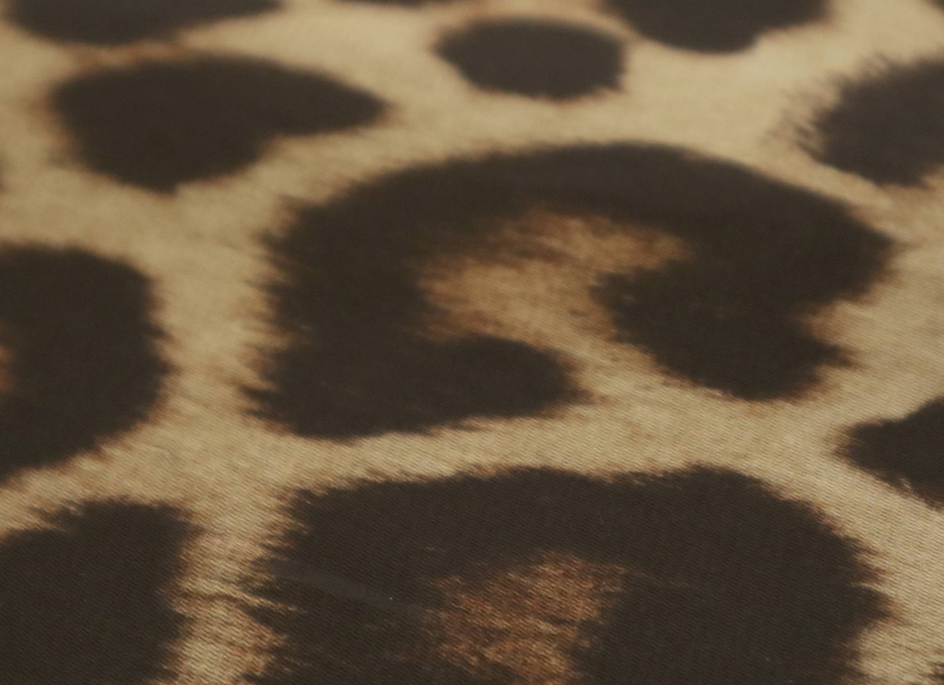 Printed Silk Organza with Animal Print