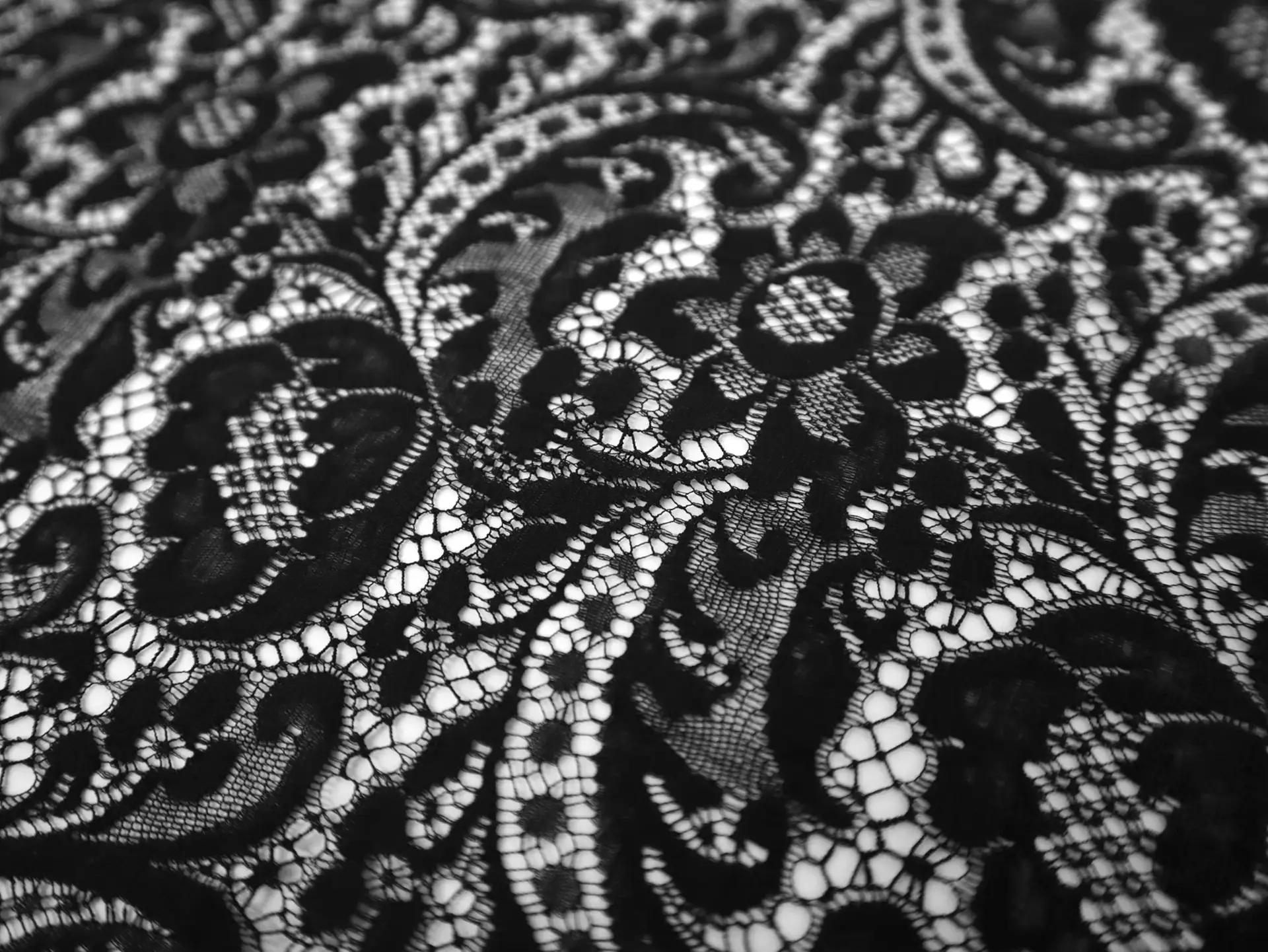 Floral Chantilly Lace in Black