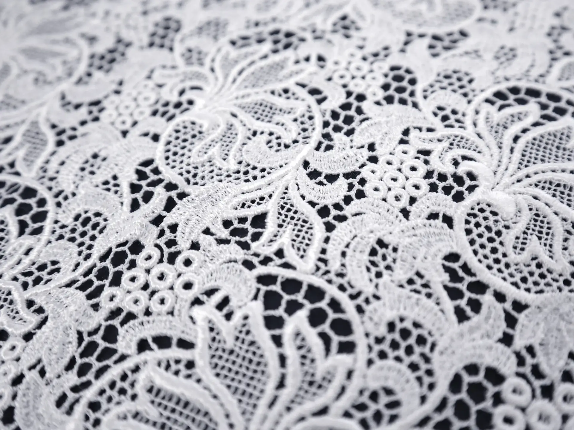 Gupiure Lace in White