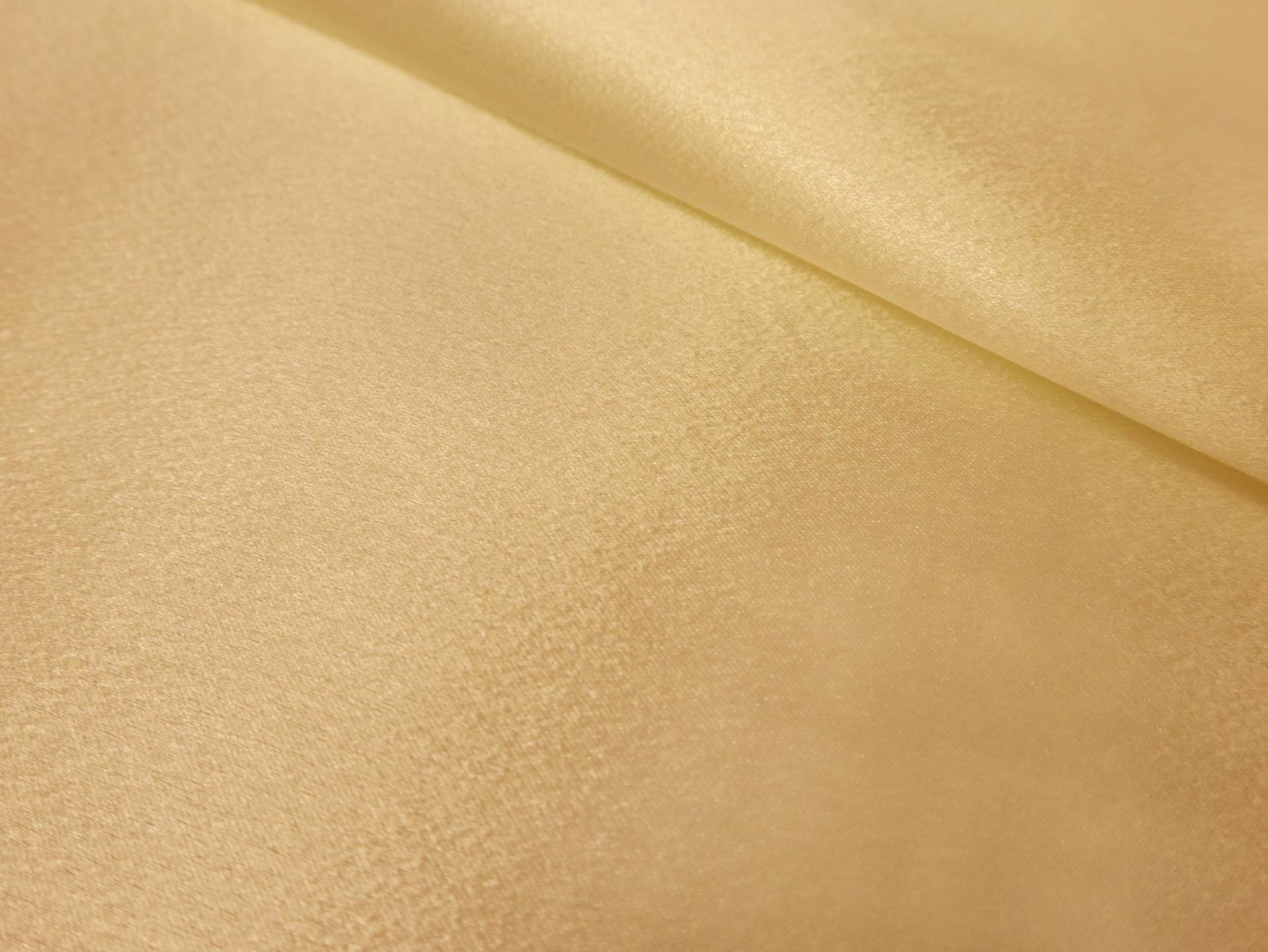 Polyester Crepe Back Satin in Champagne 