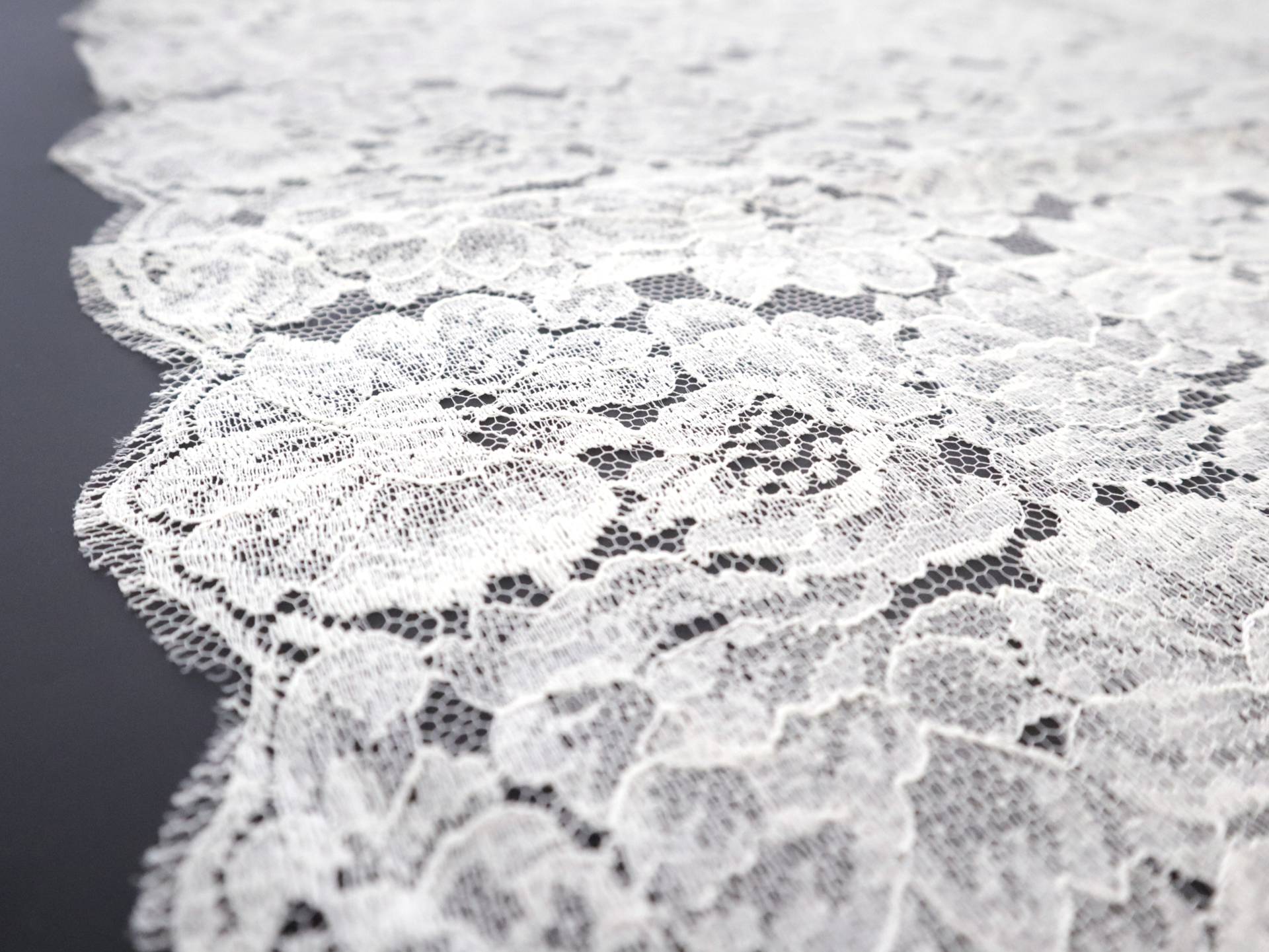 Floral Chantilly Lace in Ecru