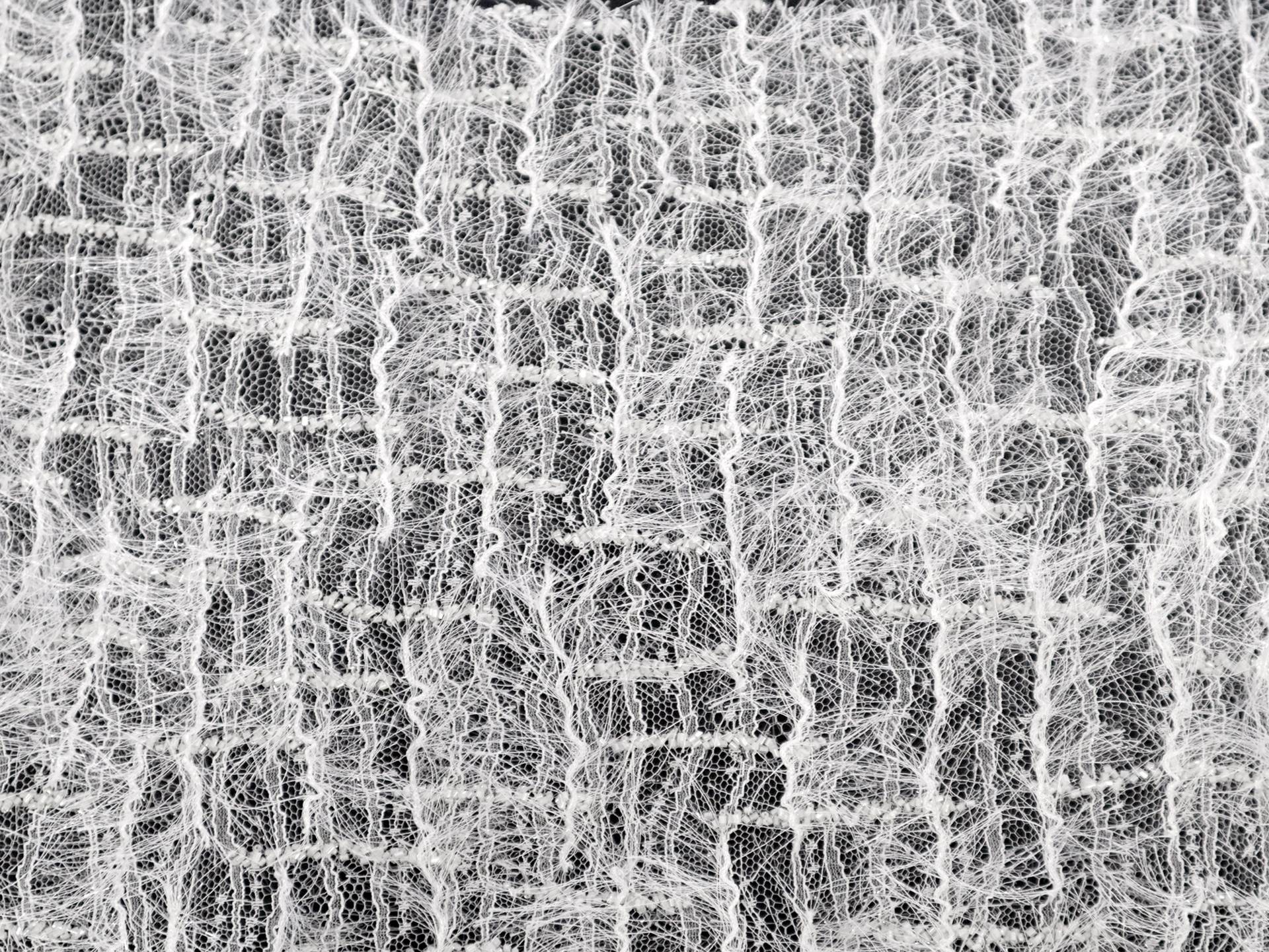 Novelty Fringe and Bugle Beads on Netting in White