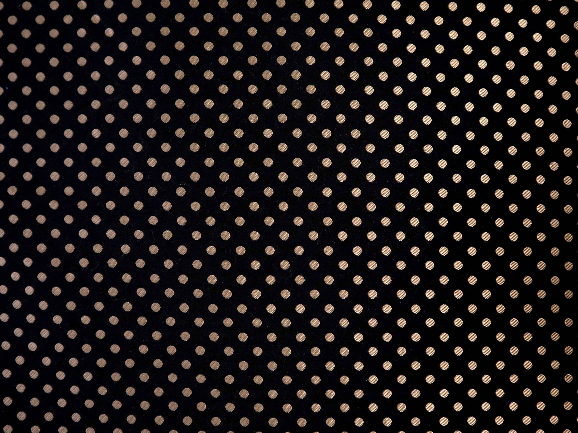 Polka Dot Brocade in Black & Taupe