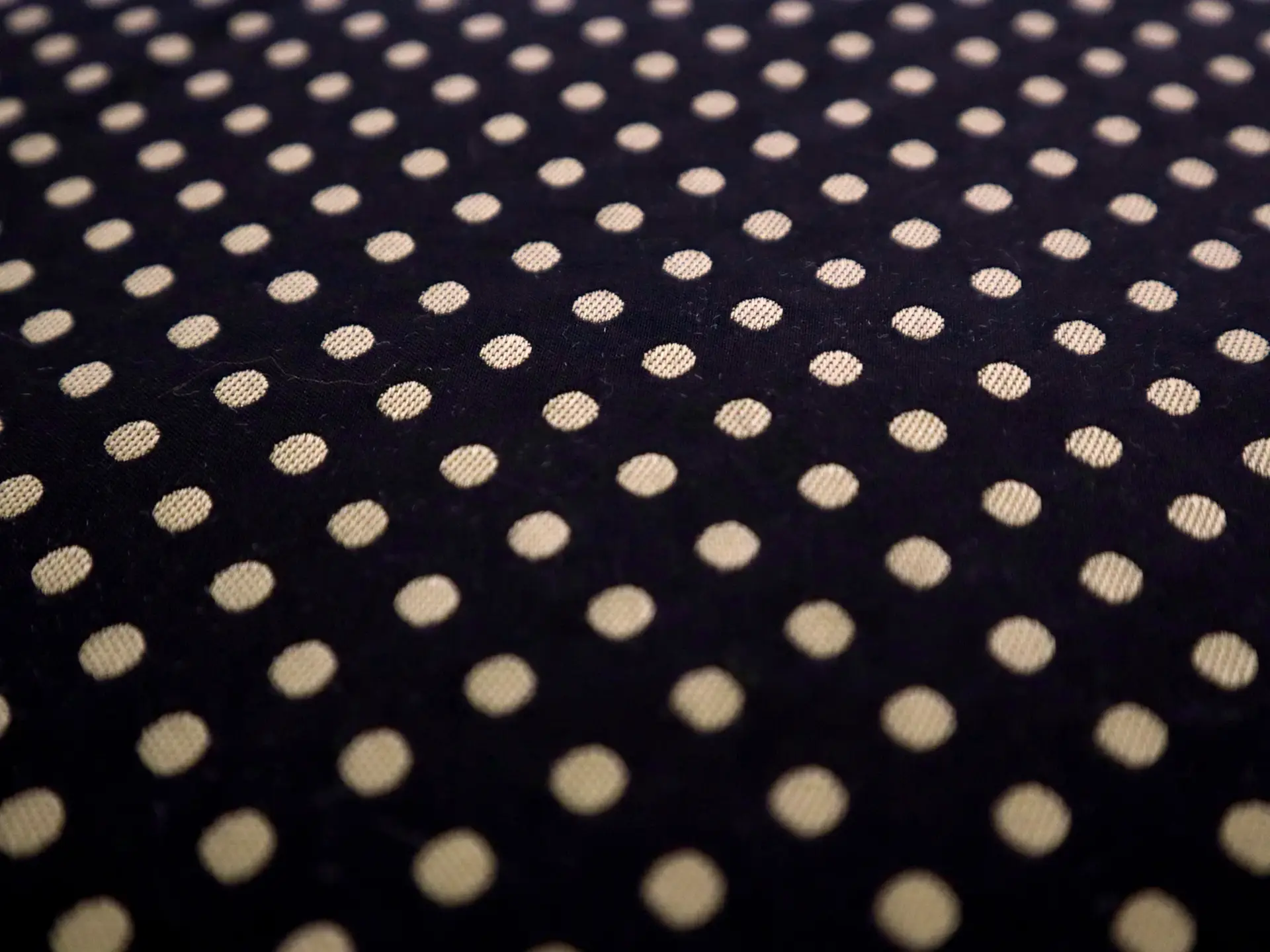 Polka Dot Brocade in Black & Taupe
