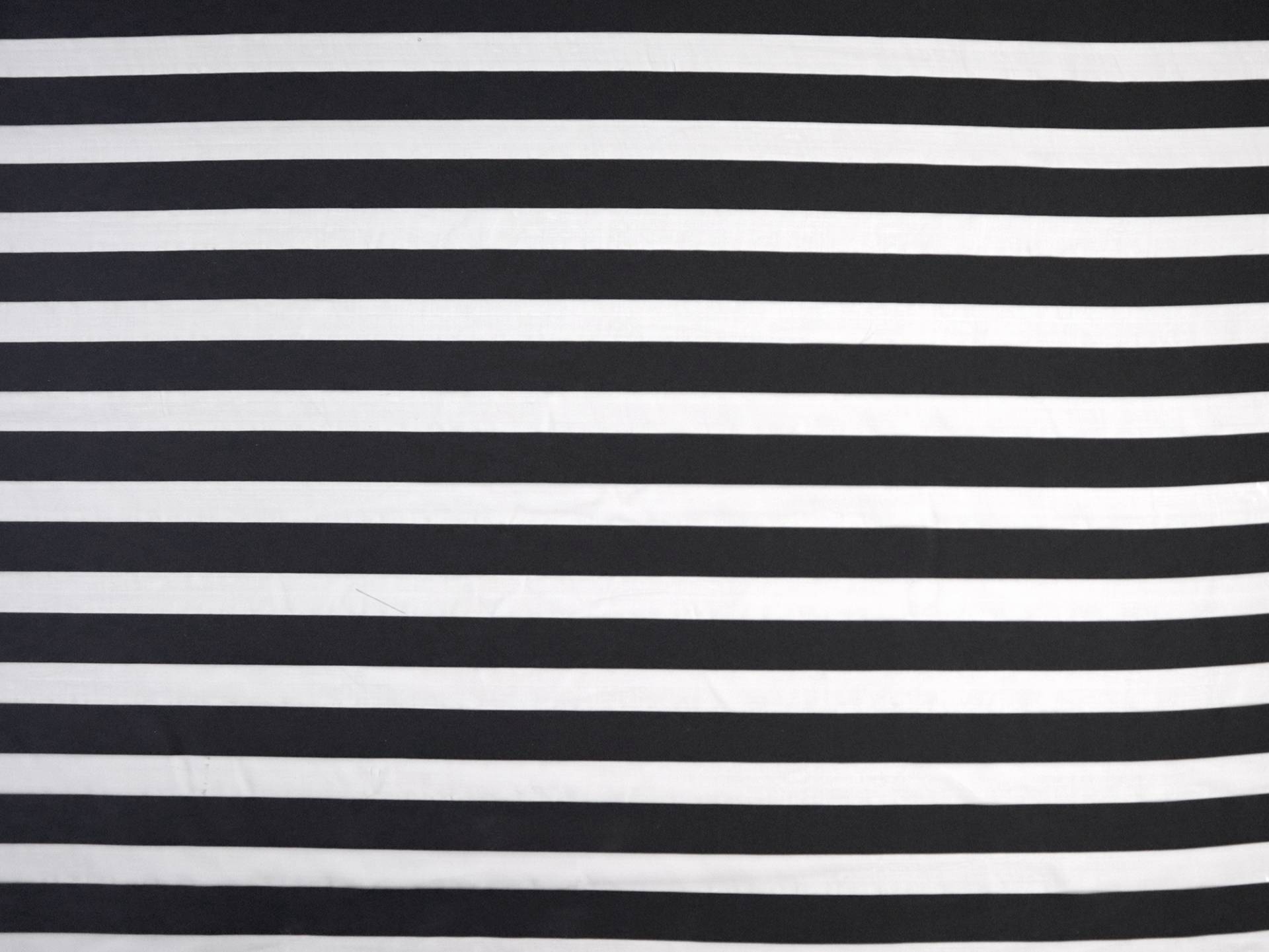 Polyester Organza with Twill Stripe in Black