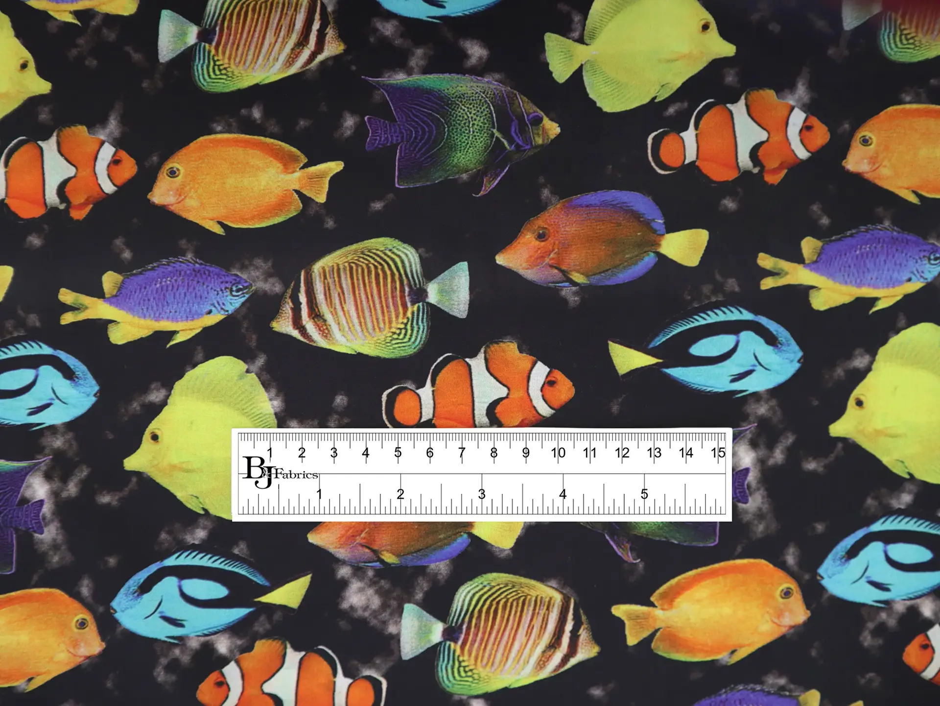 Cotton Broadcloth Digital Print with Fish School