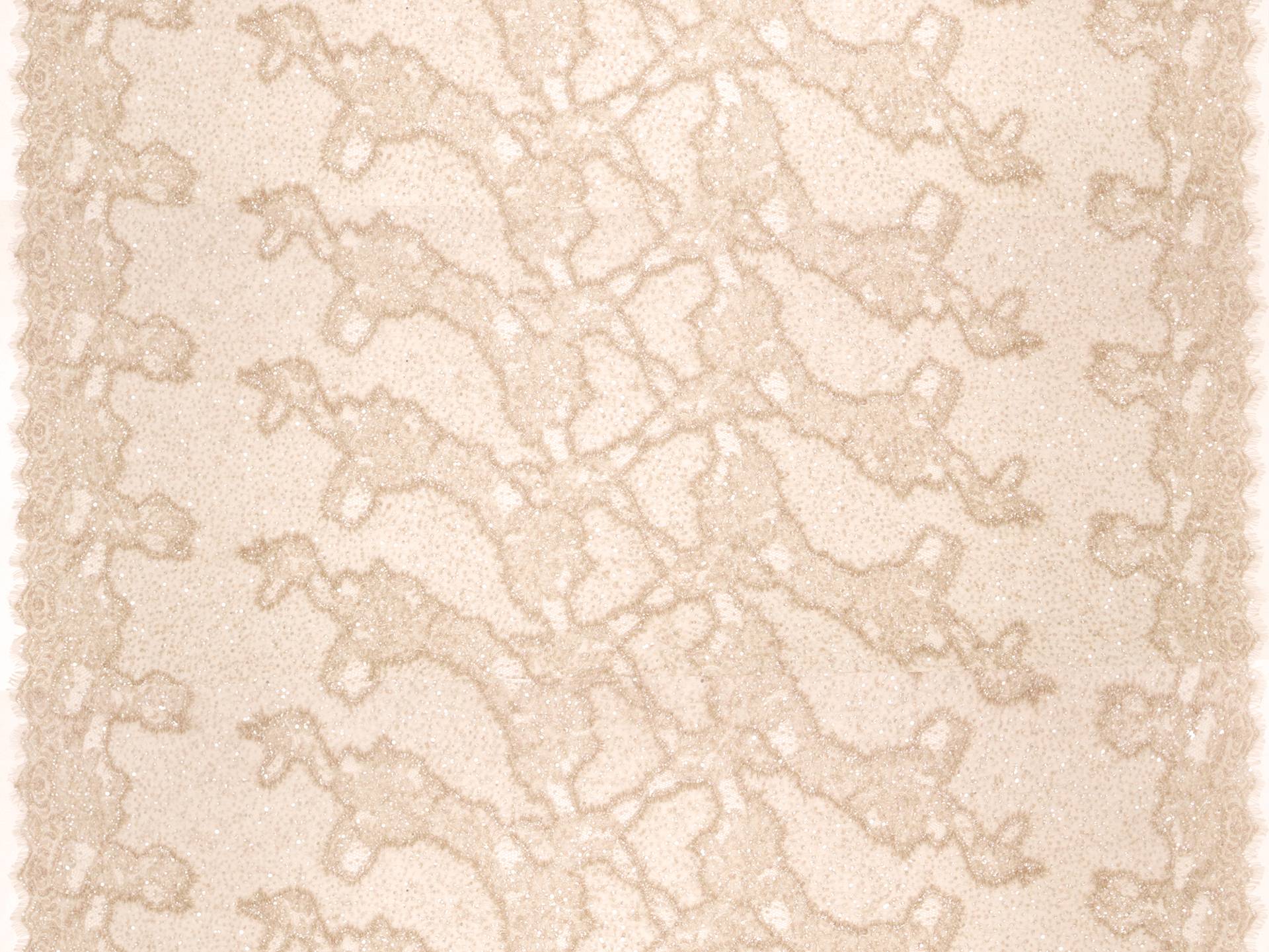 Beaded Chantilly Lace in Light Nude 