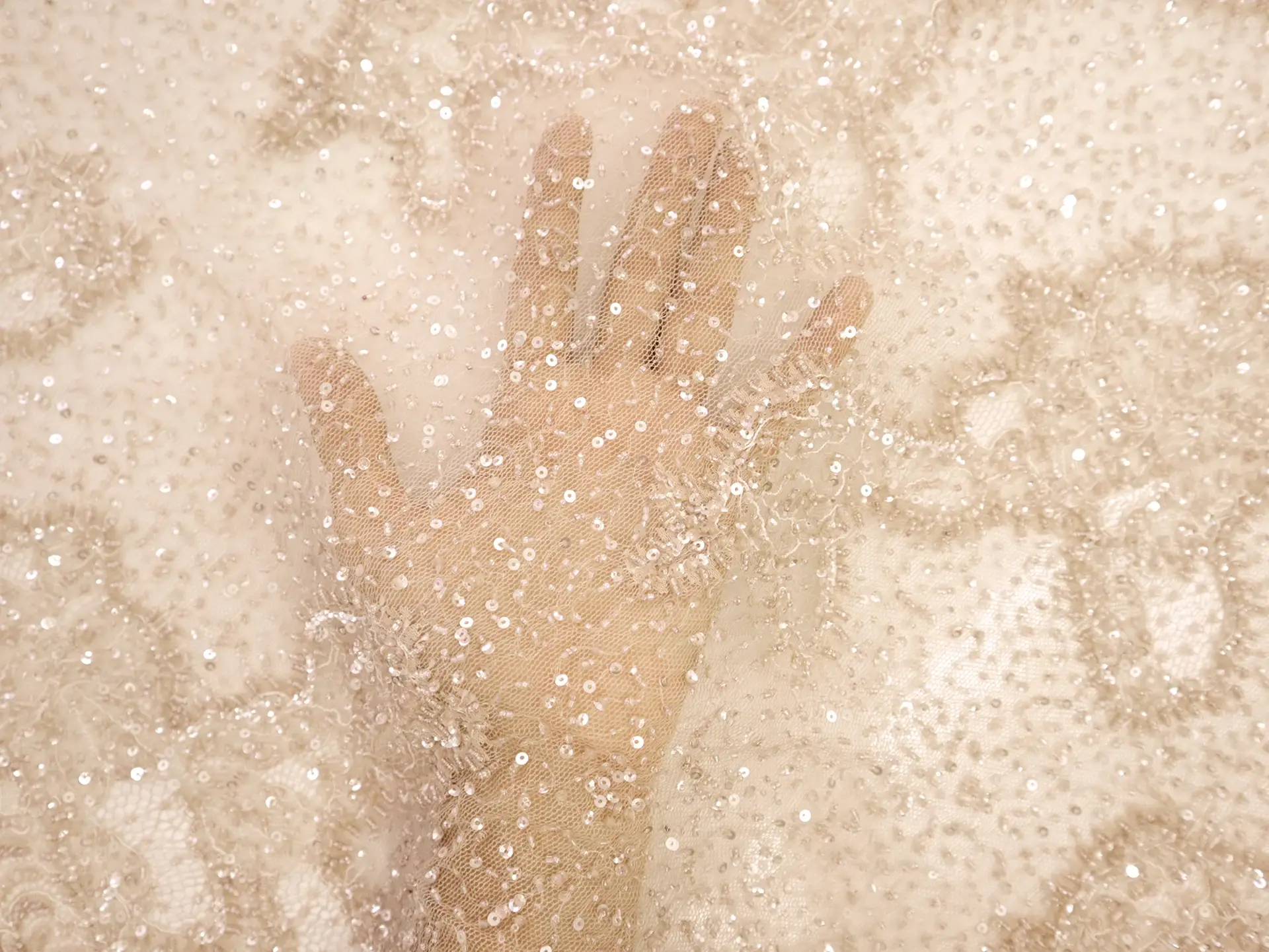 Beaded Chantilly Lace in Light Nude 