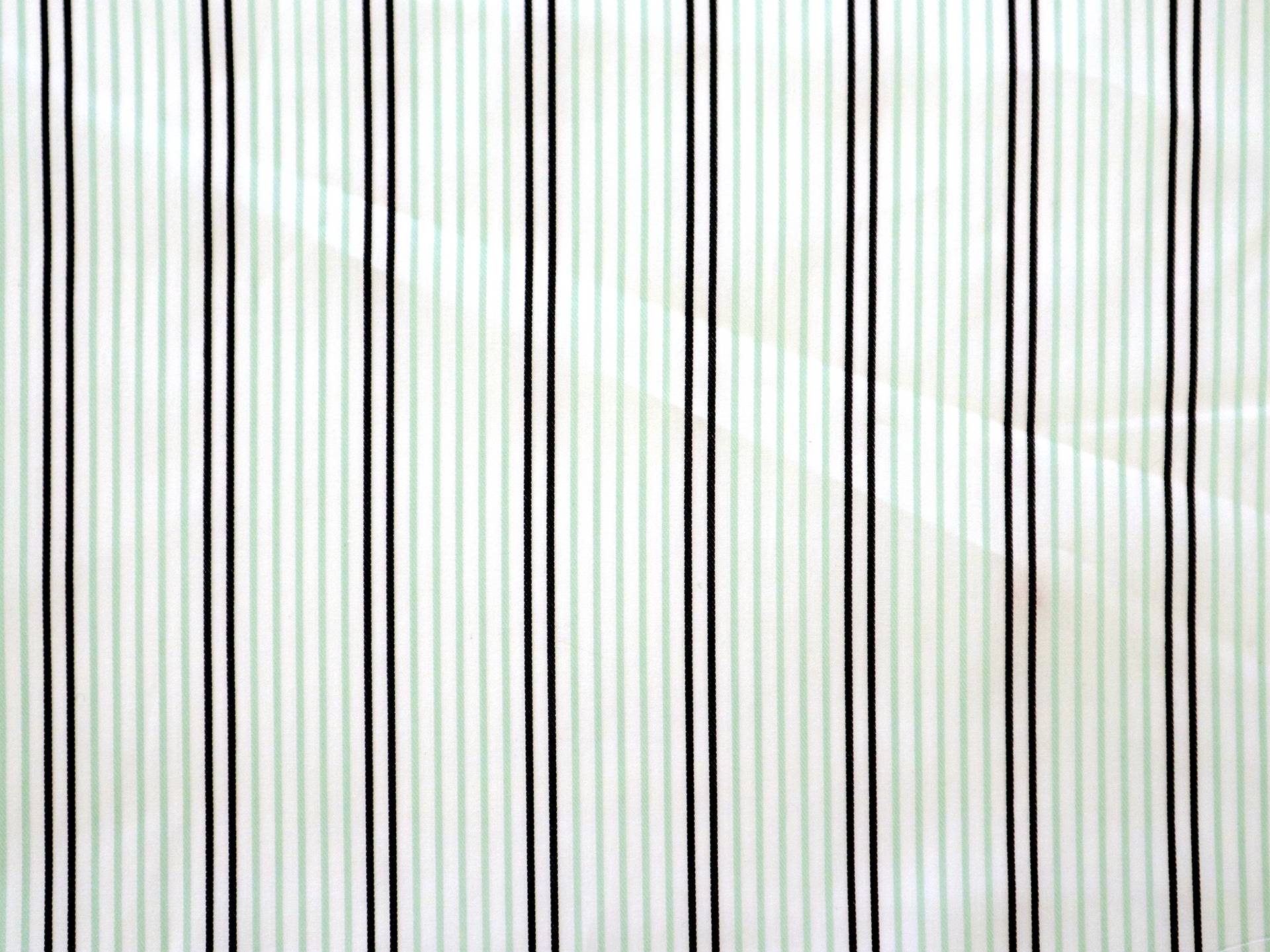Cotton Woven Satin Rope Stripe in Mint & Black