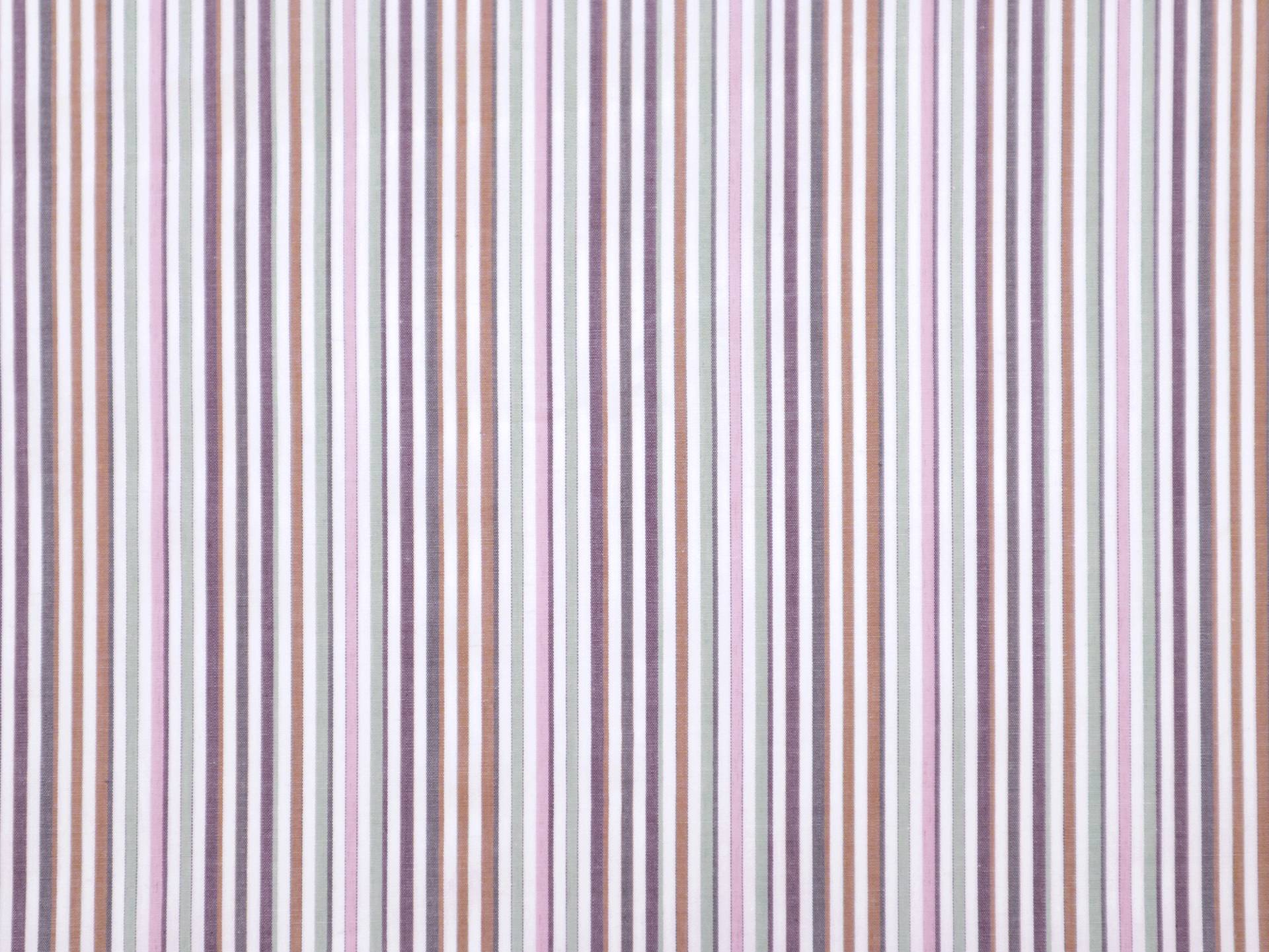 Cotton Woven Multitrack Stripes in Multi