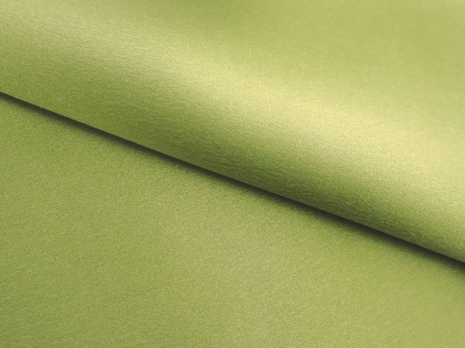 Sueded Silk Charmeuse in Moss