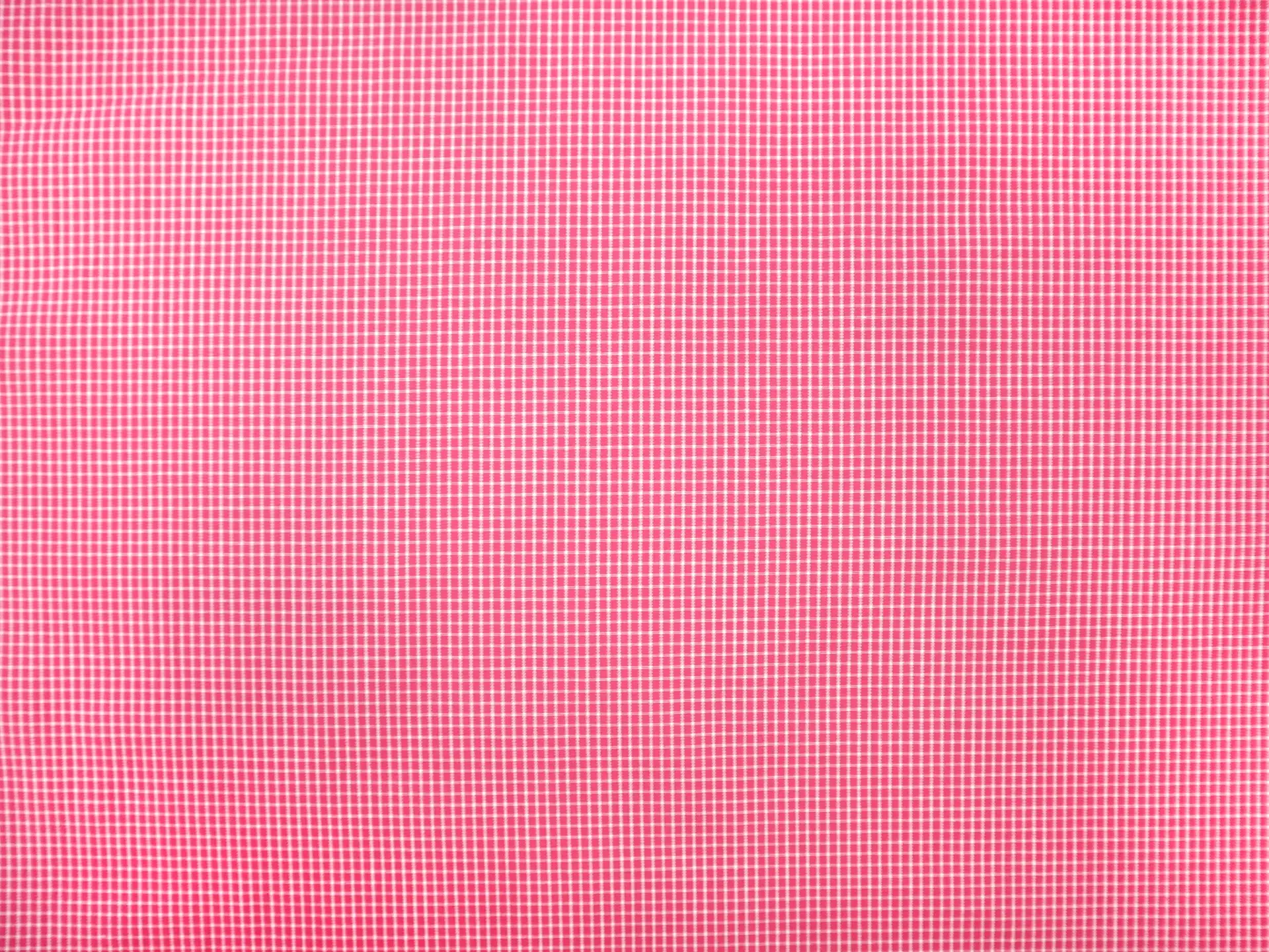 Cotton Petite Check Shirting in Fuchsia