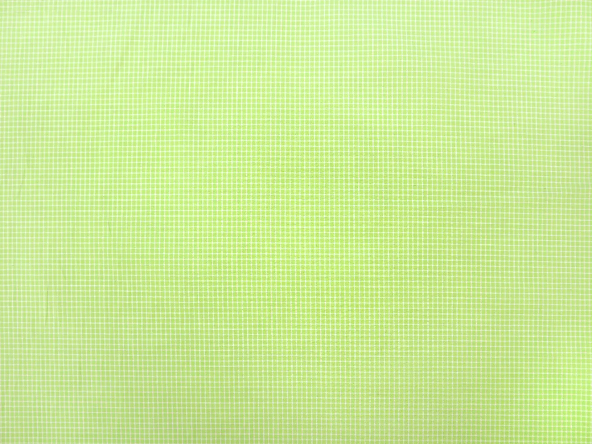 Cotton Petite Check Shirting in Neon Green