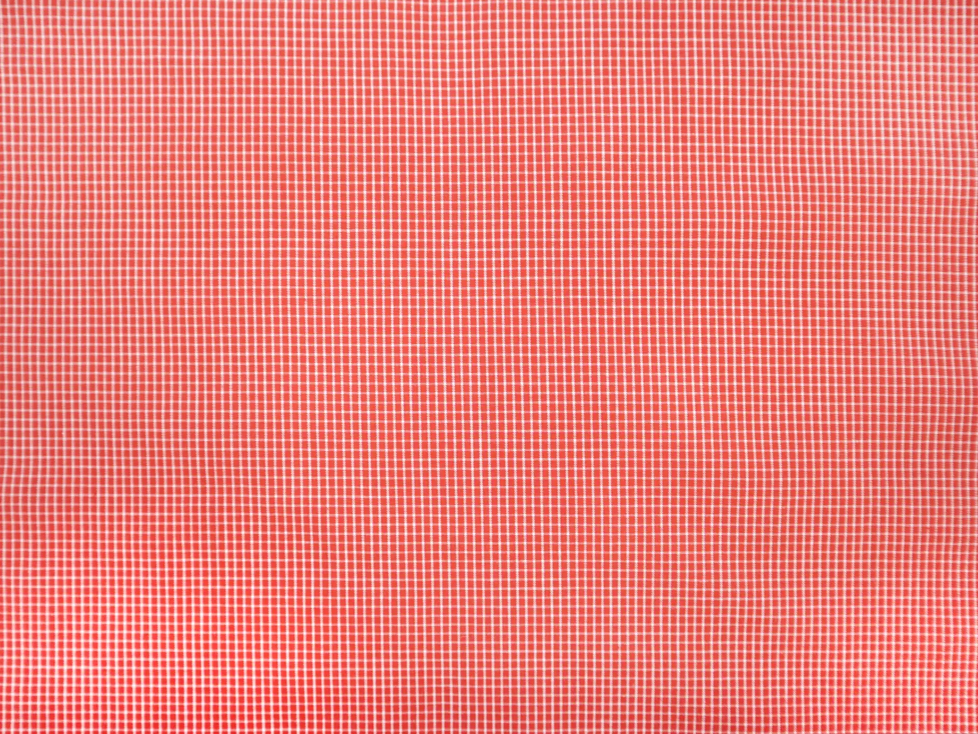 Cotton Petite Check Shirting in Yam