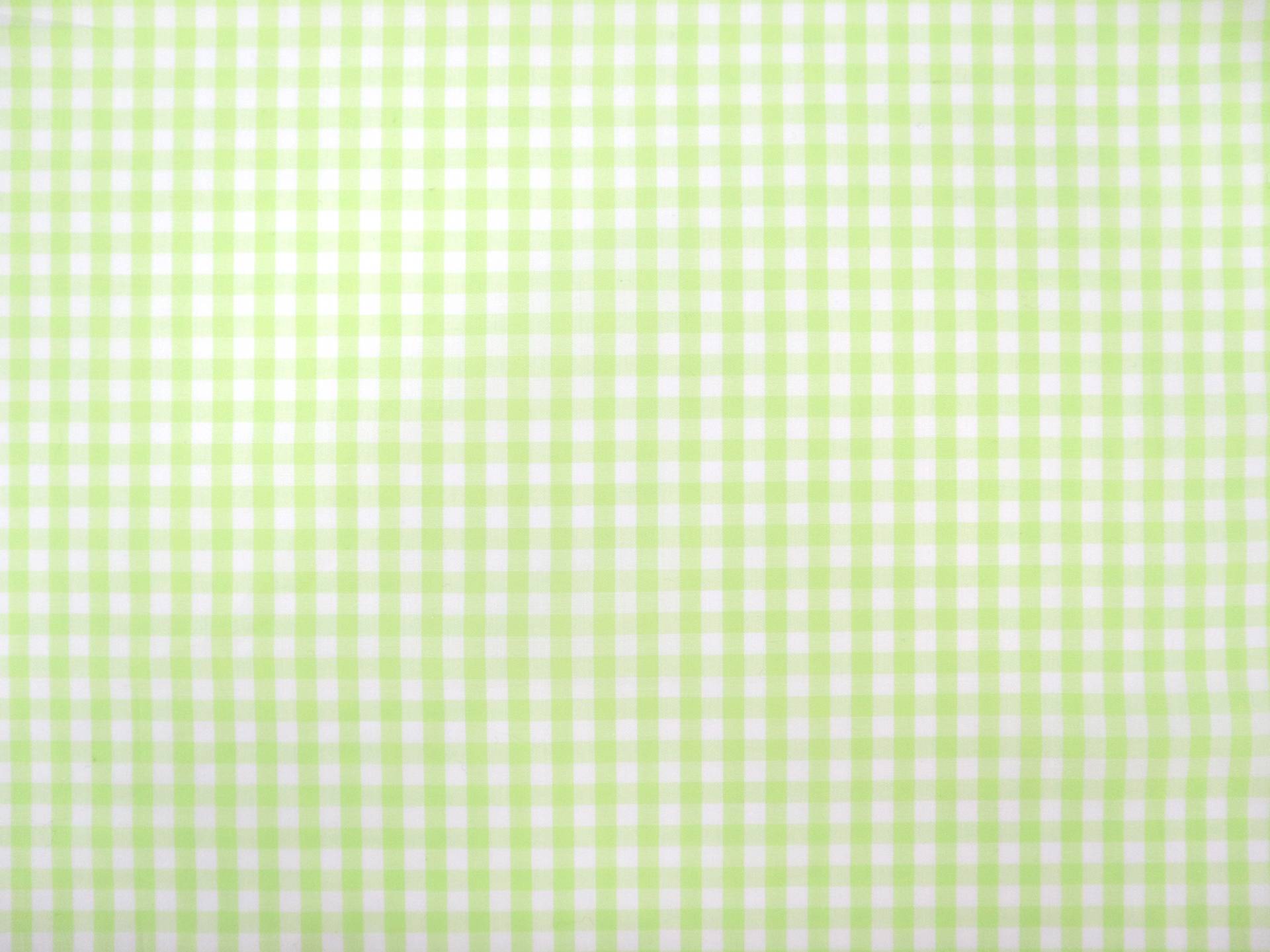 1/4" Cotton Gingham in Lime