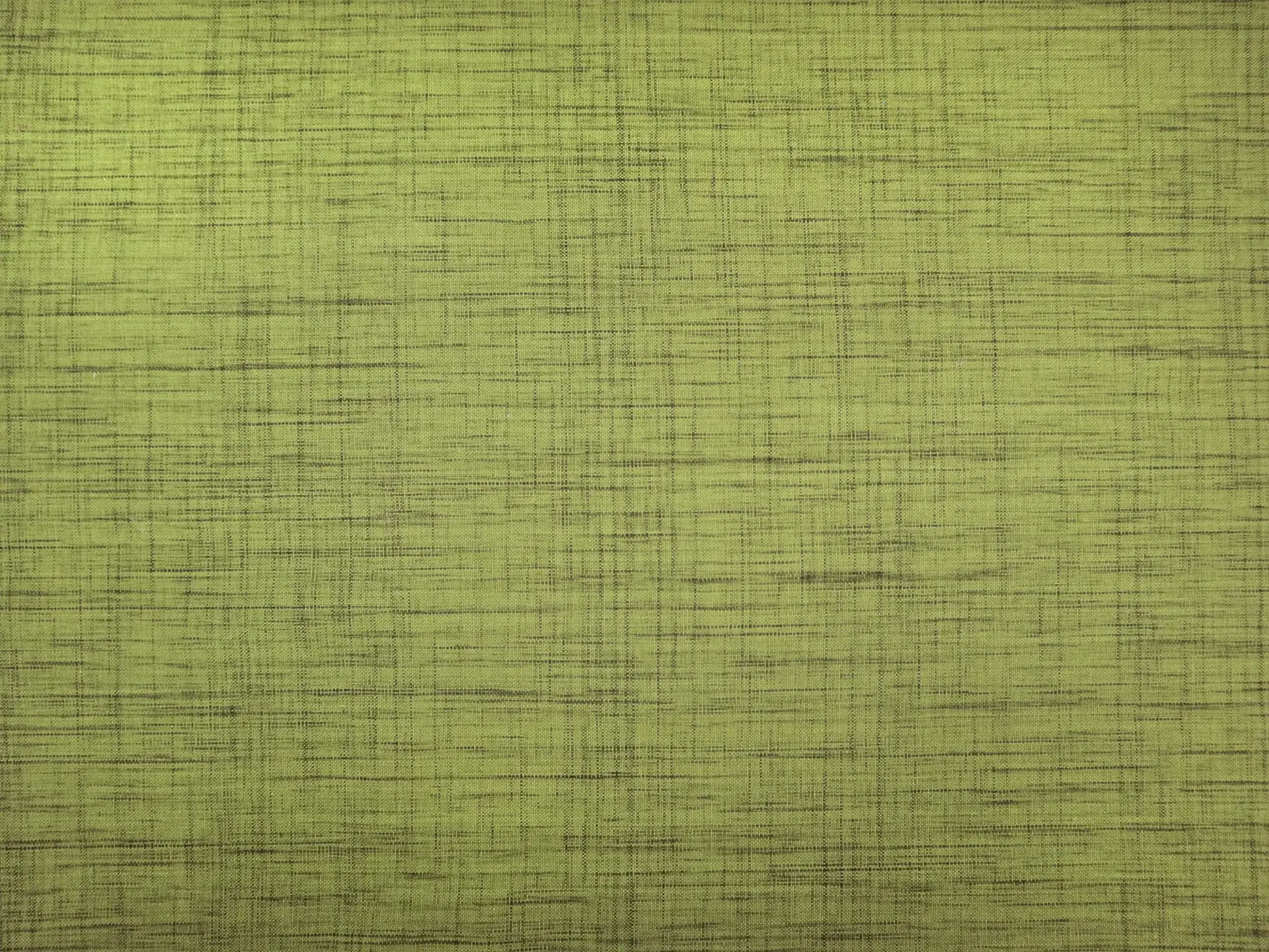 Yarn Dyed Cotton Novelty in Avocado
