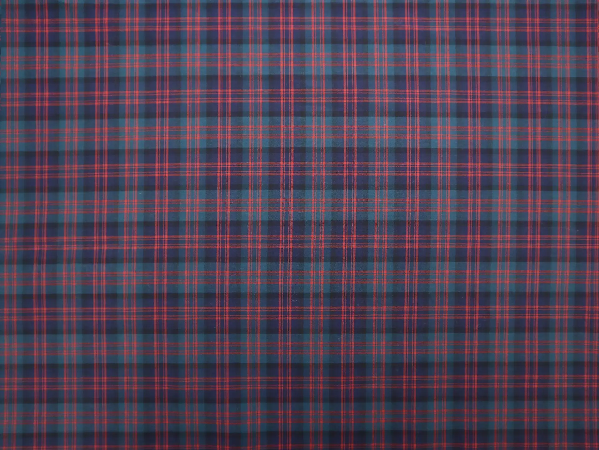 Pima Cotton Tartan Plaid in Blue Red