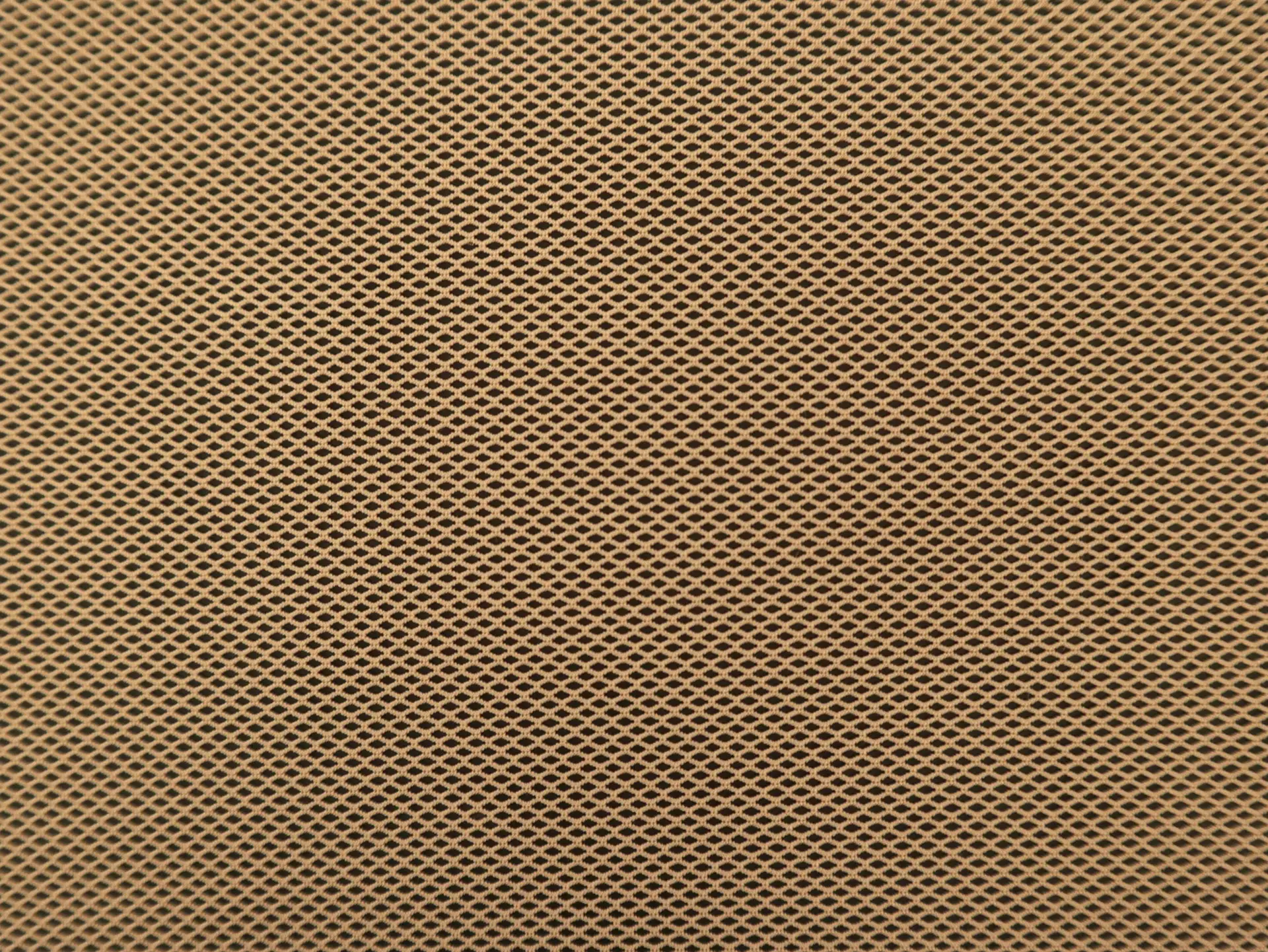 Nylon Stretch Mesh in Tan