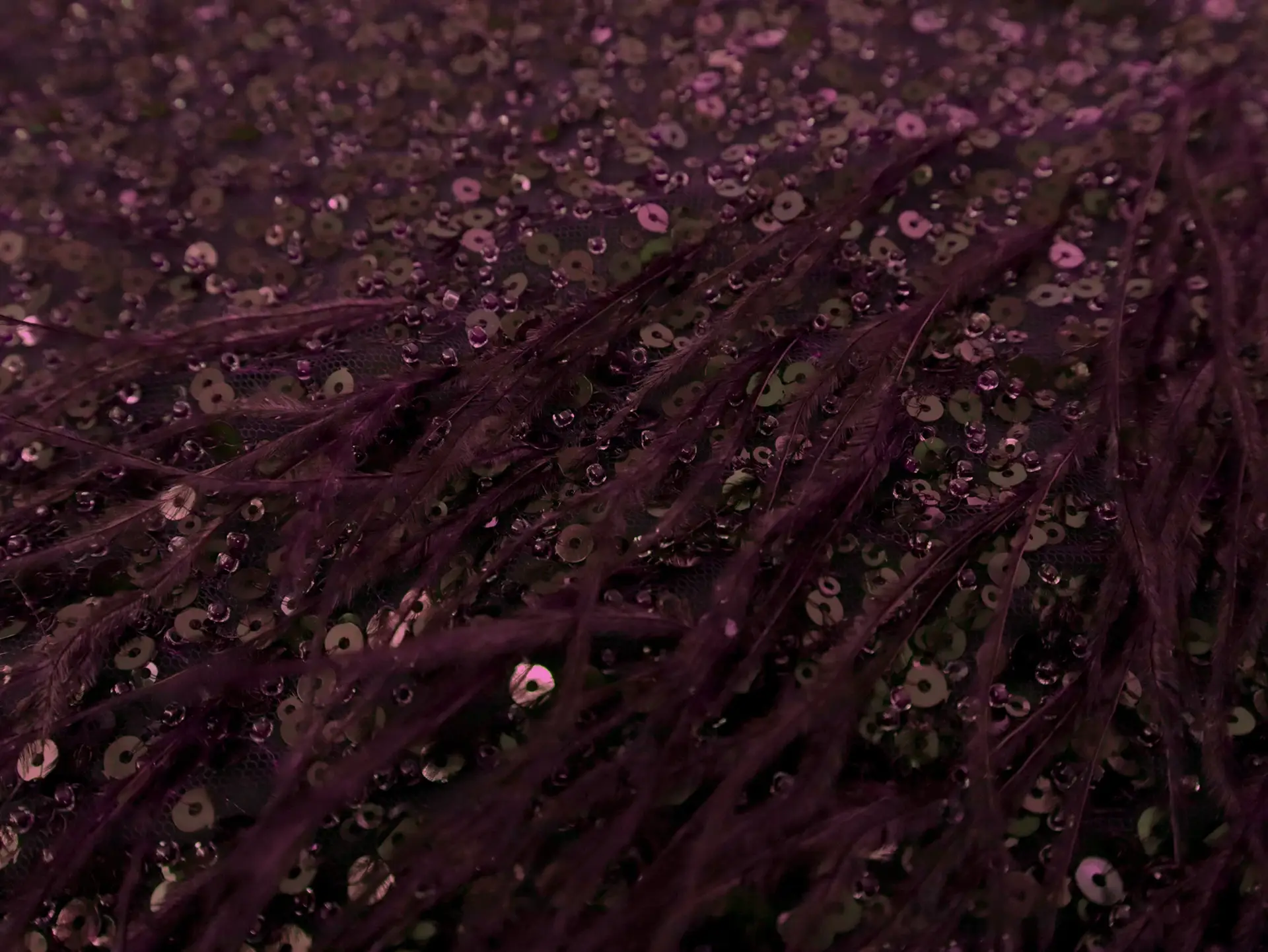 Feathers on Beaded Tulle in Plum