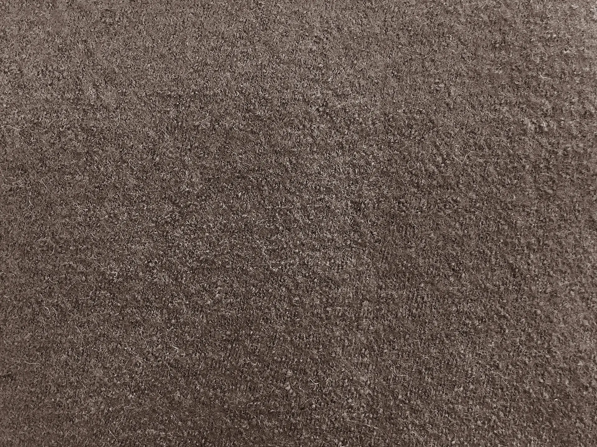 Boiled Wool Blend Knit in Taupe