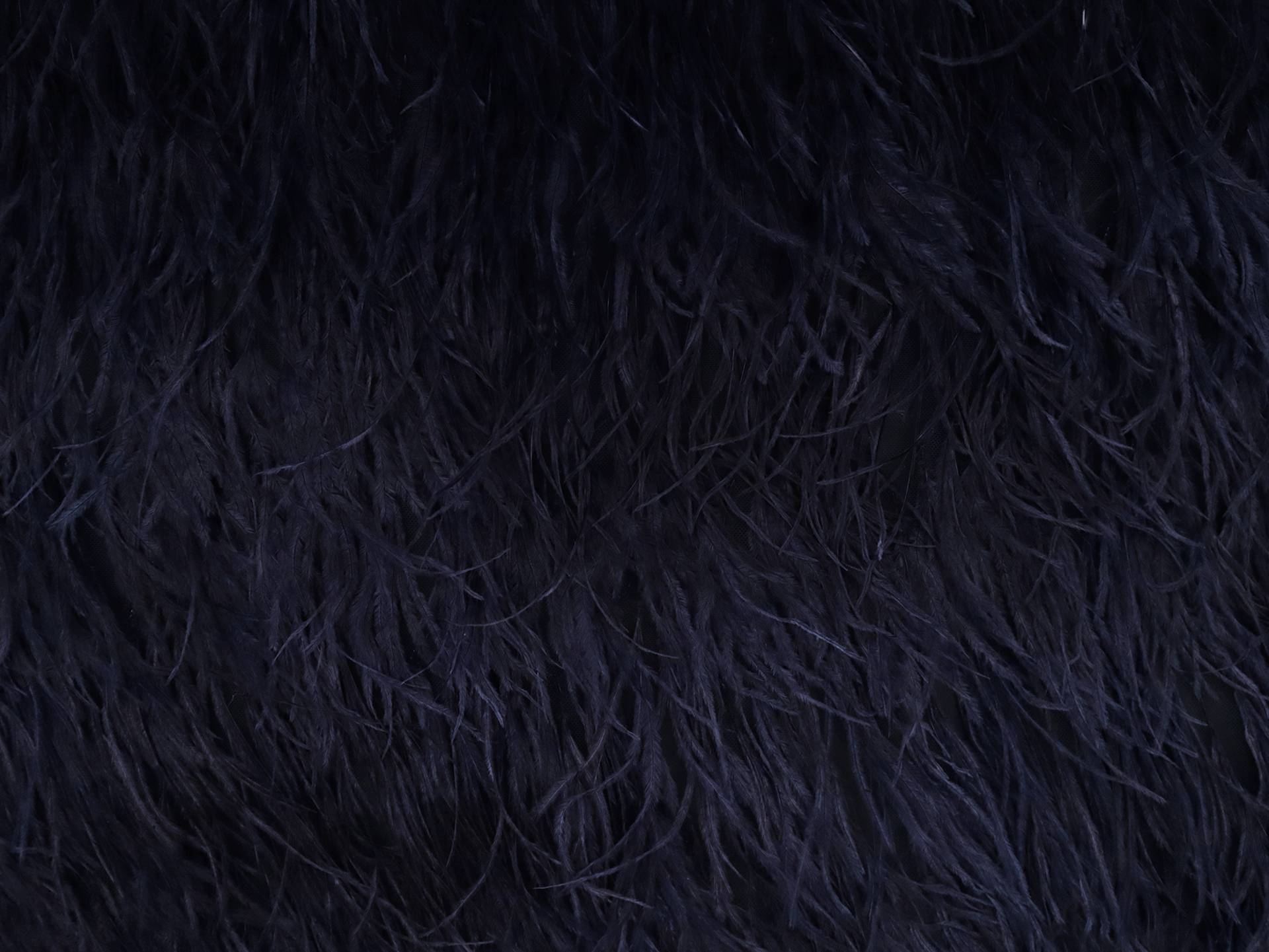 Ostrich Feather Trimmed Illusion in Navy