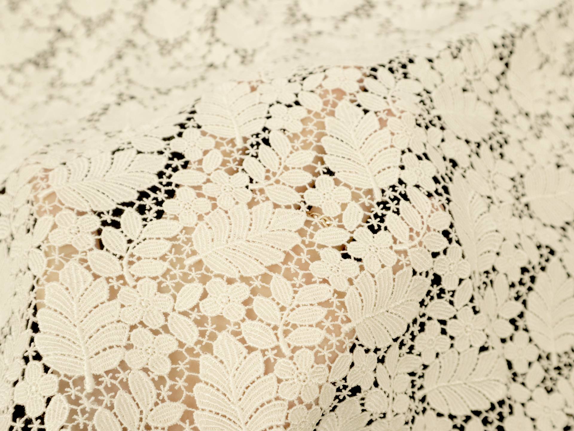 Guipure Lace with Botanical Motif in Ivory