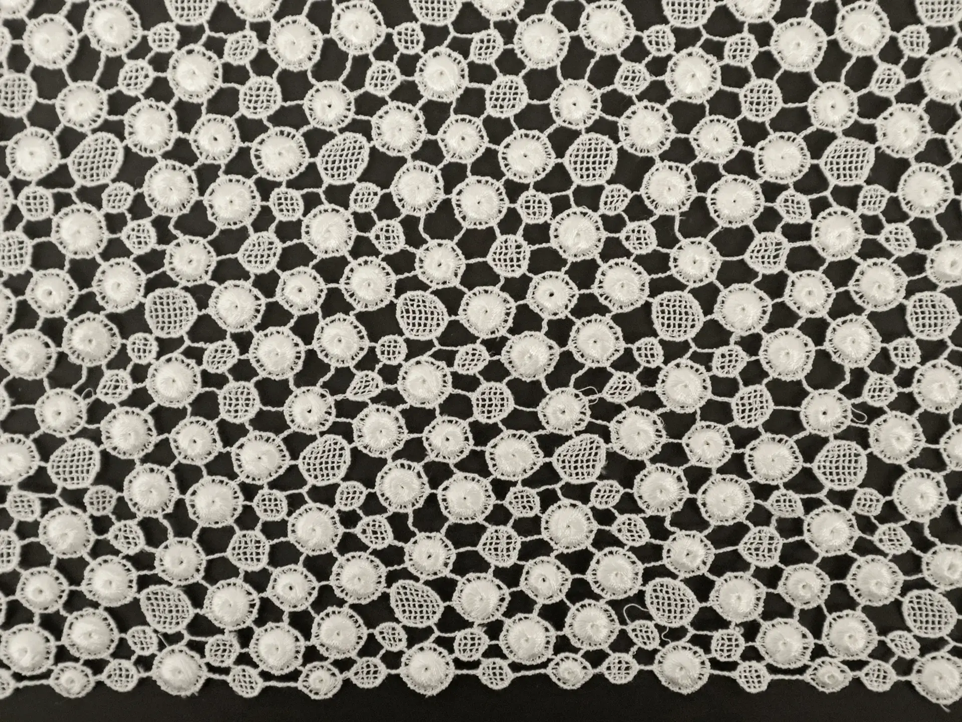 Guipure Lace with Dot Pattern in White