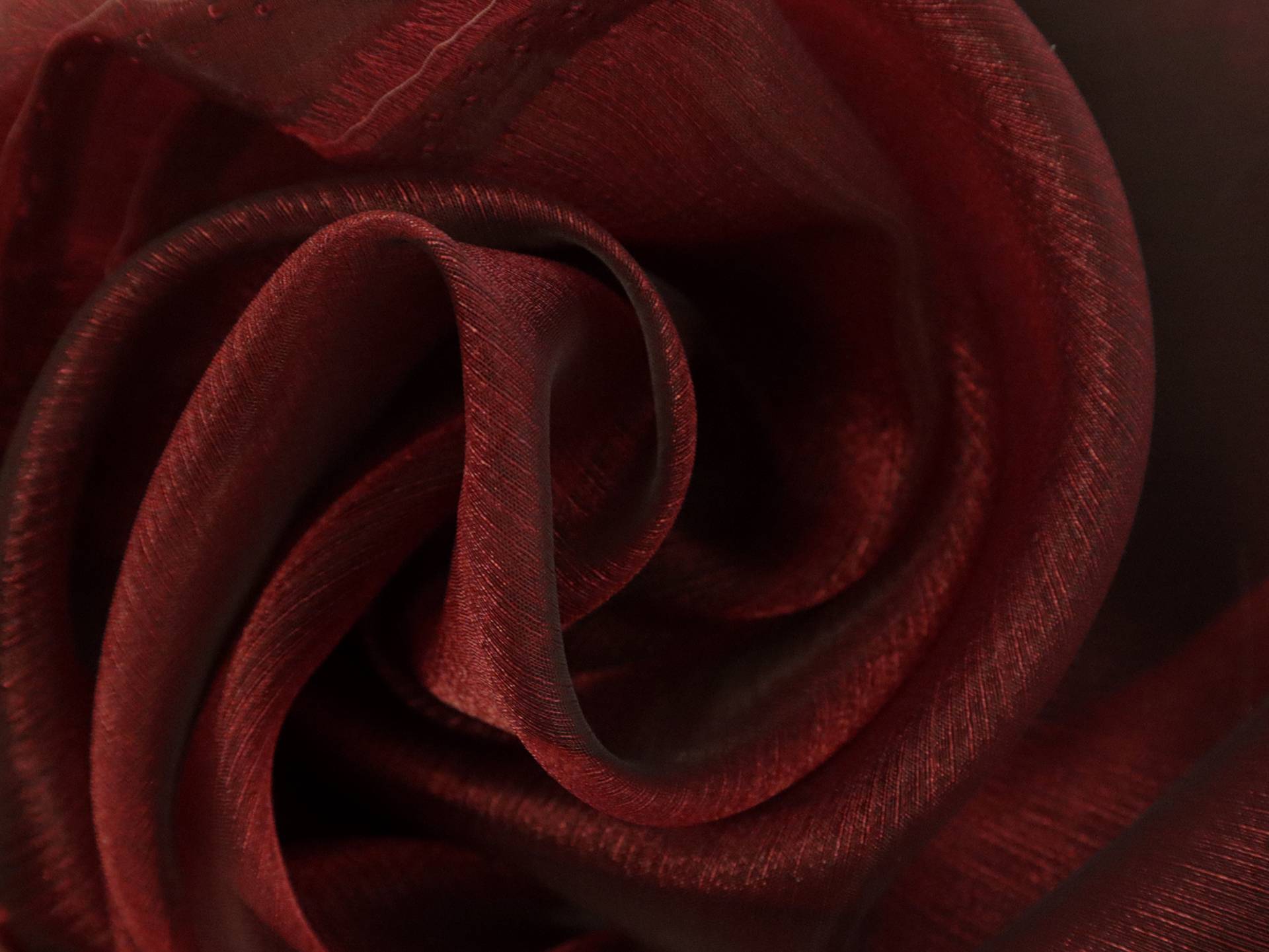 Sparkle Sheer Organza in Crimson