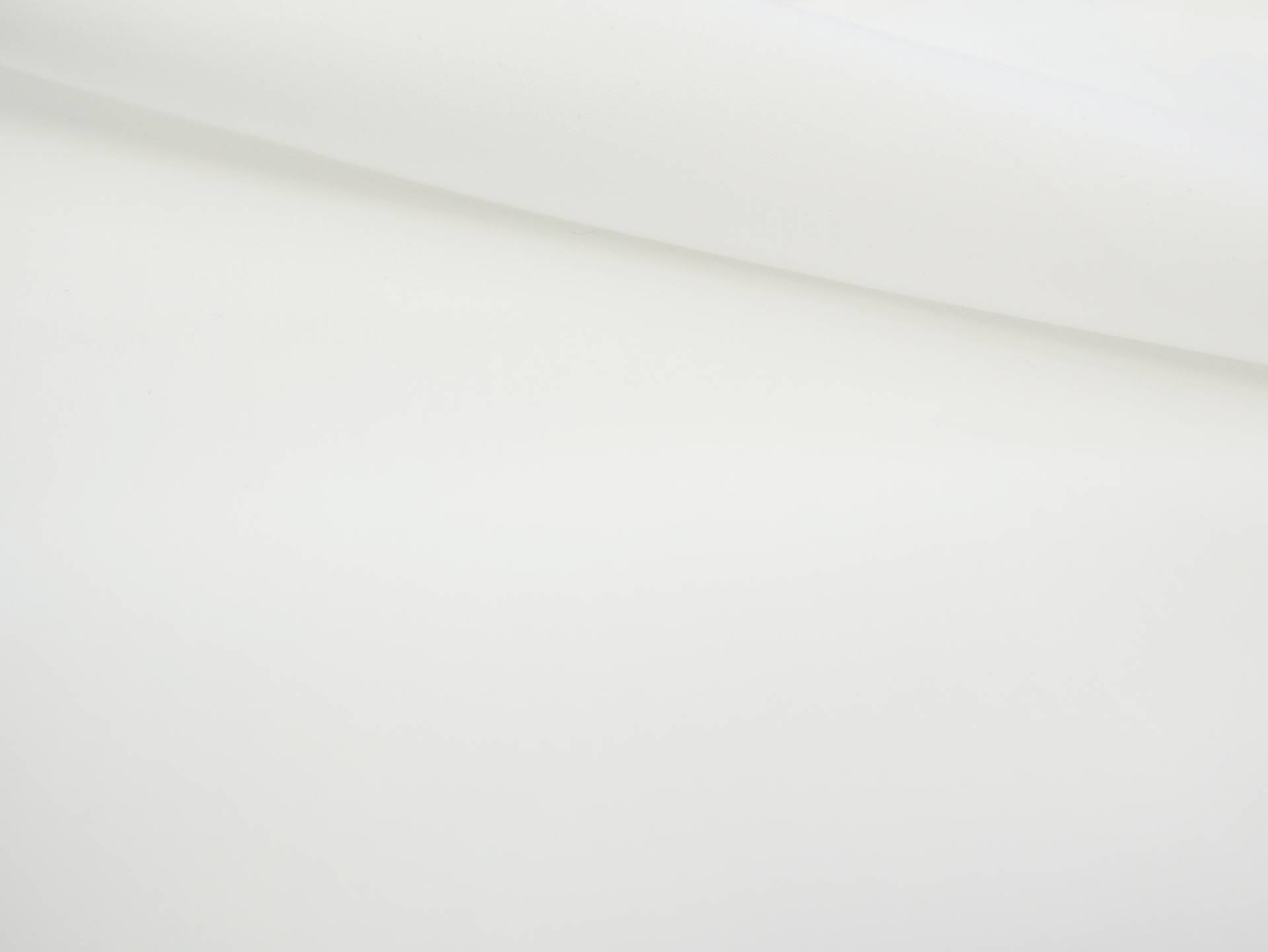 Japanese Cotton Broadcloth in Off White