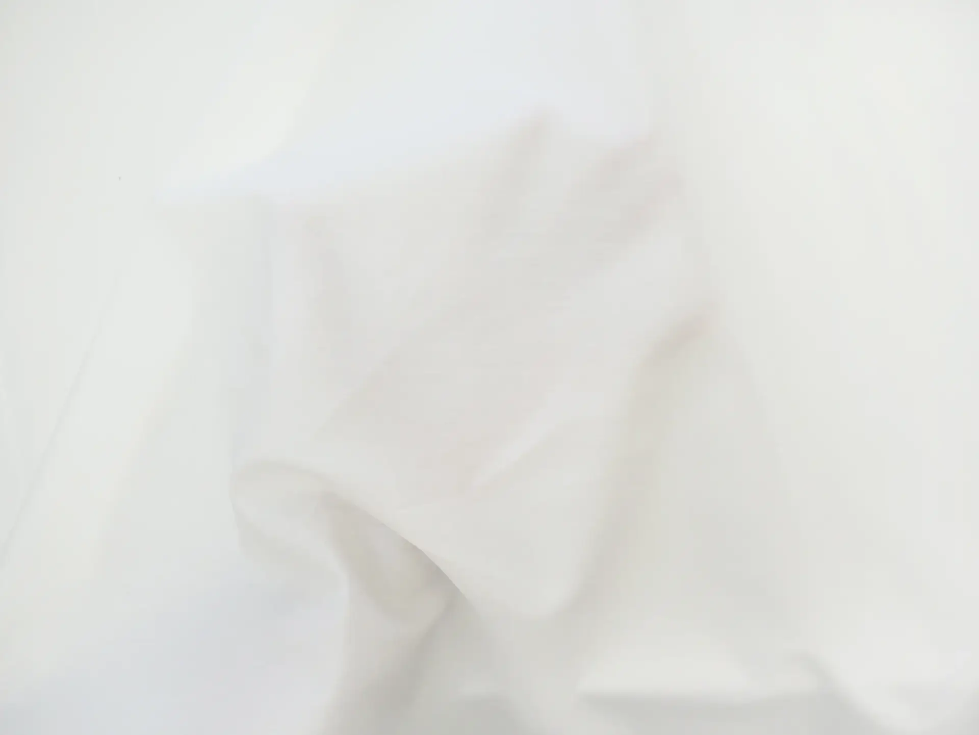 Japanese Cotton Broadcloth in Off White